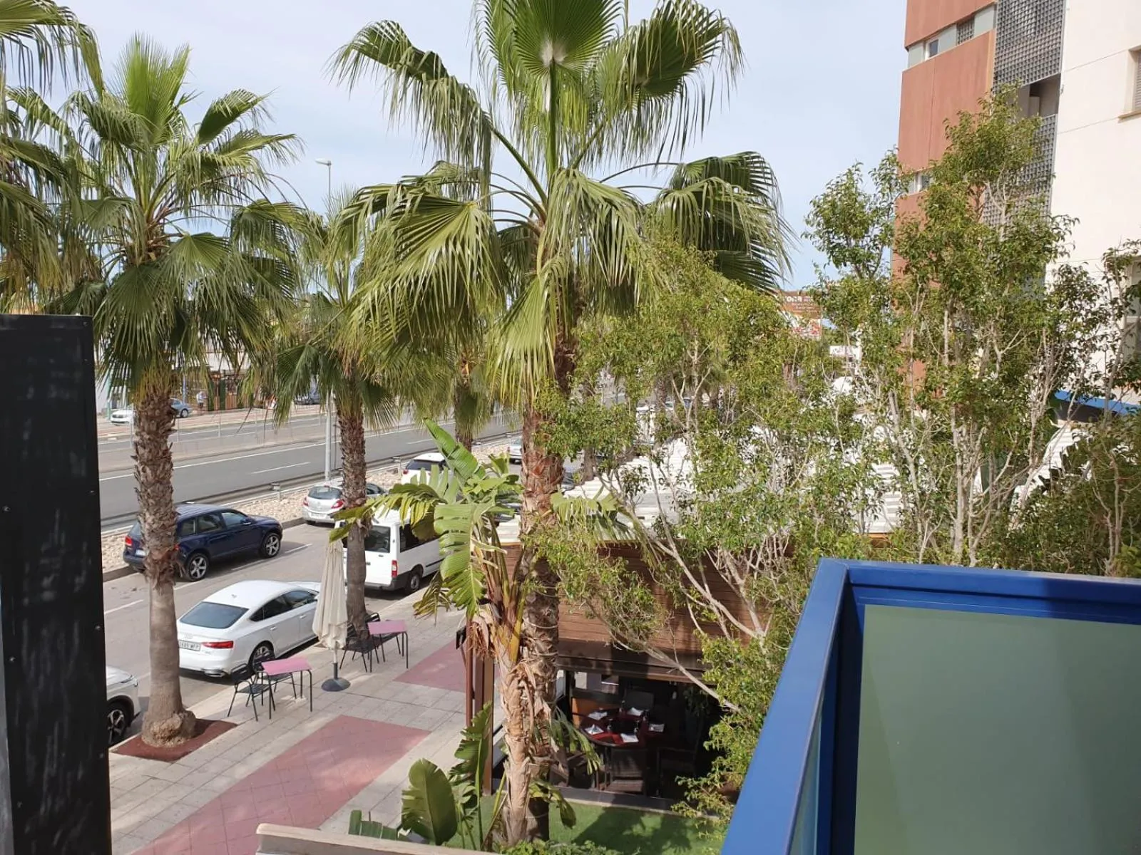 Playamarina 1 Reception