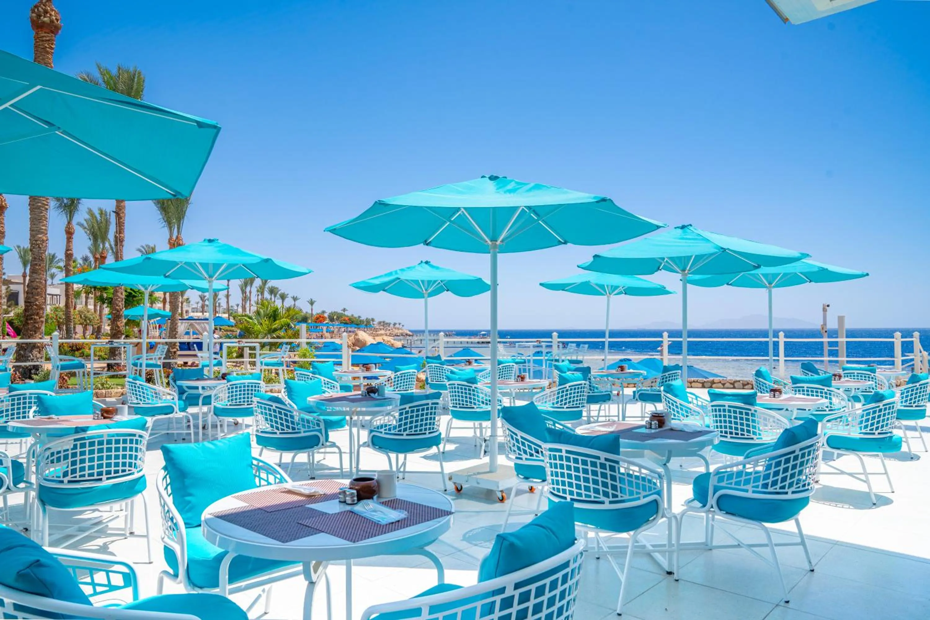 Restaurant/places to eat in Pickalbatros Royal Grand Sharm - Adults Friendly 16 Years Plus