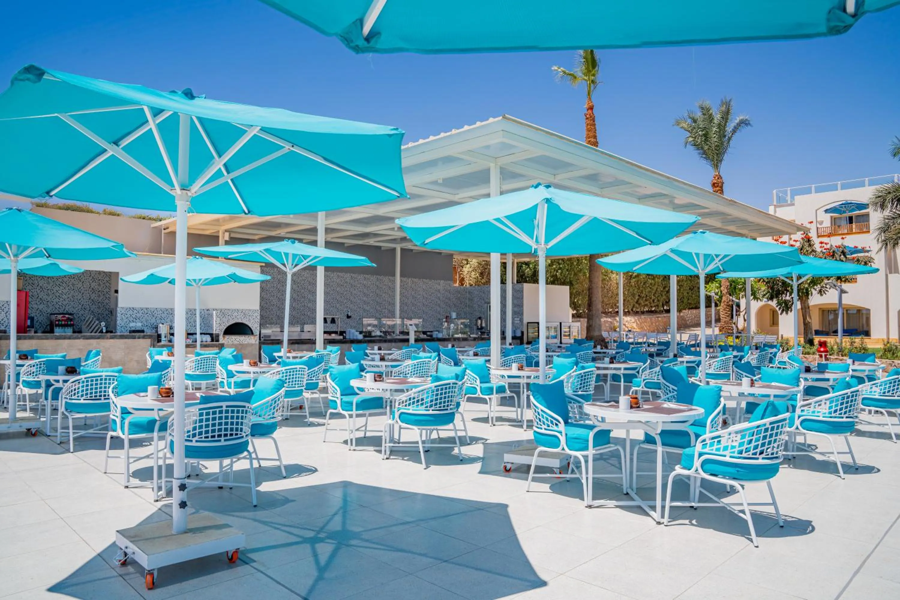 Restaurant/places to eat in Pickalbatros Royal Grand Sharm - Adults Friendly 16 Years Plus