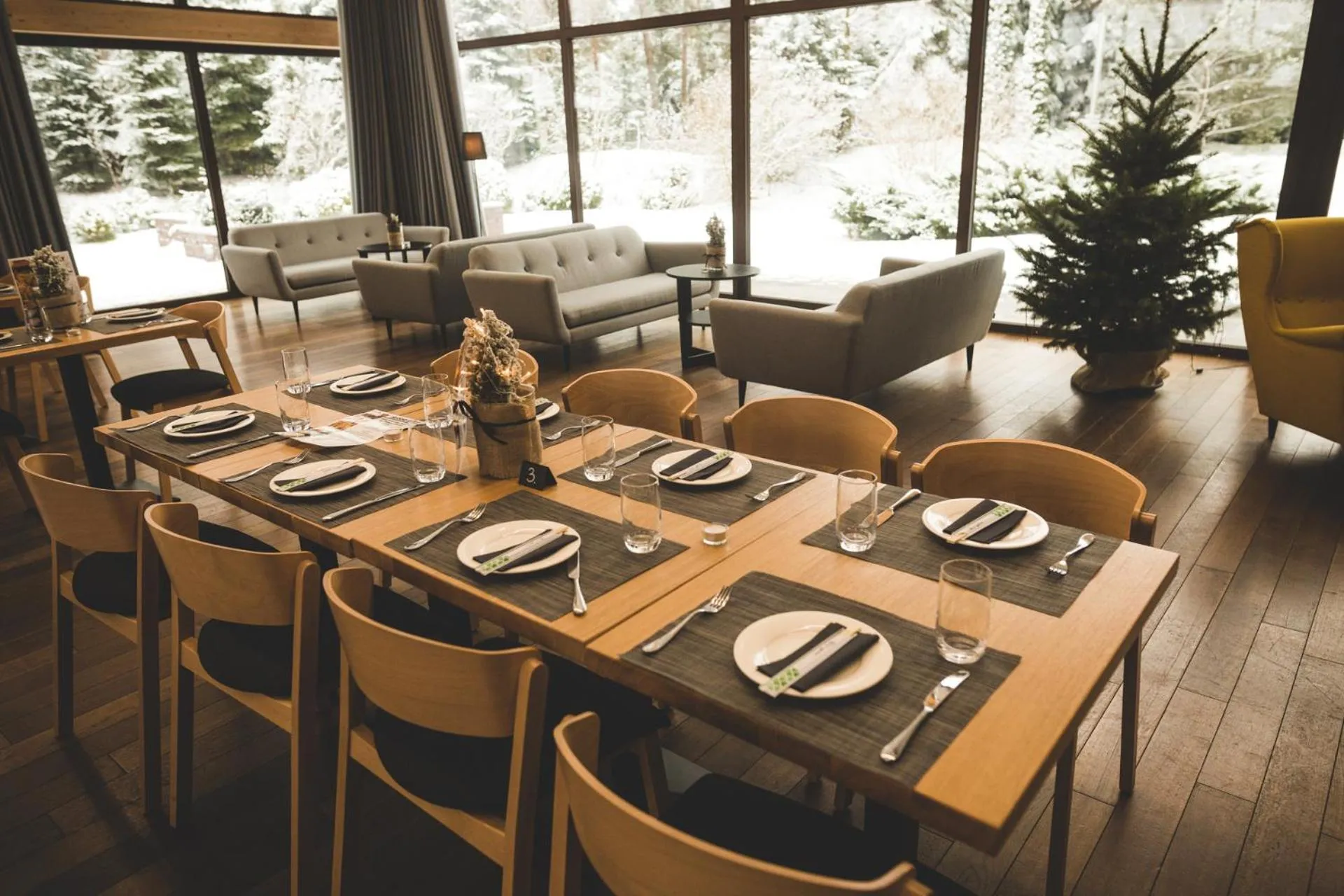 Restaurant/places to eat in Kolumna Park Hotel