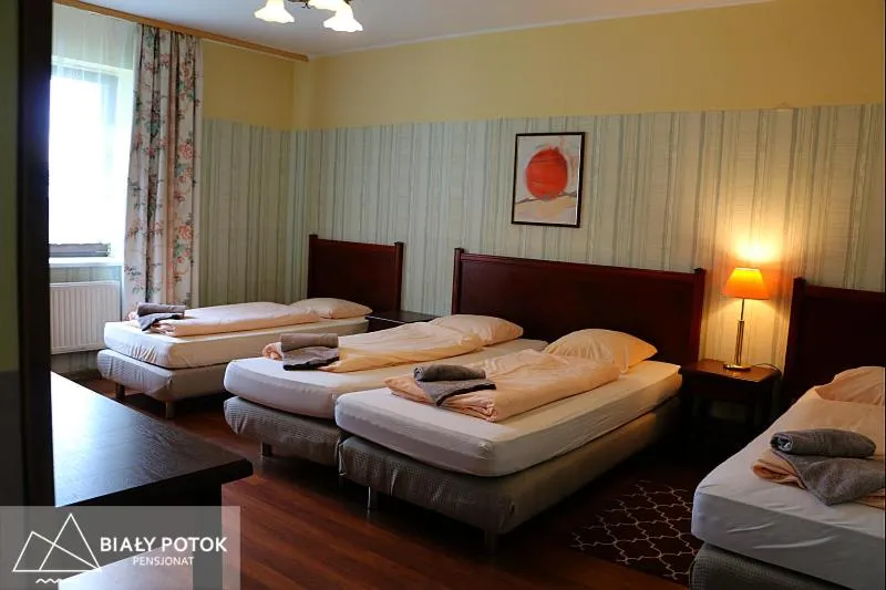 Photo of the whole room, Bed in Biały Potok