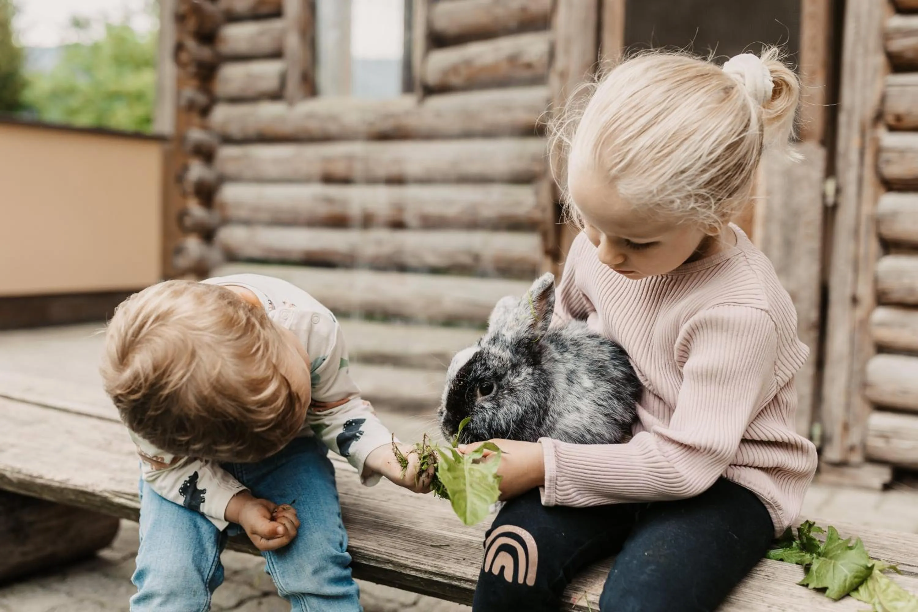 Children play ground in Hotel Neubergerhof