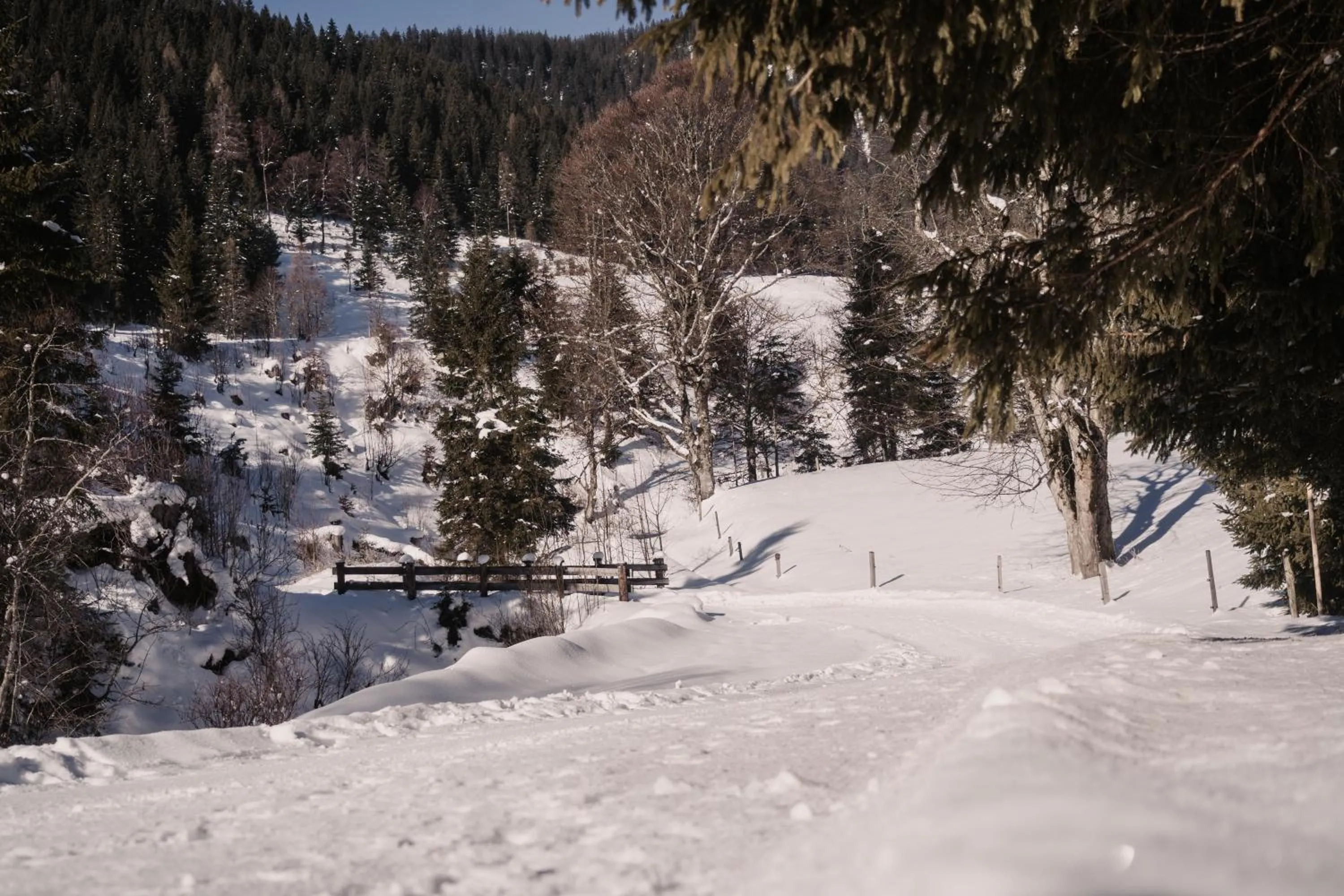 Activities in Hotel Neubergerhof