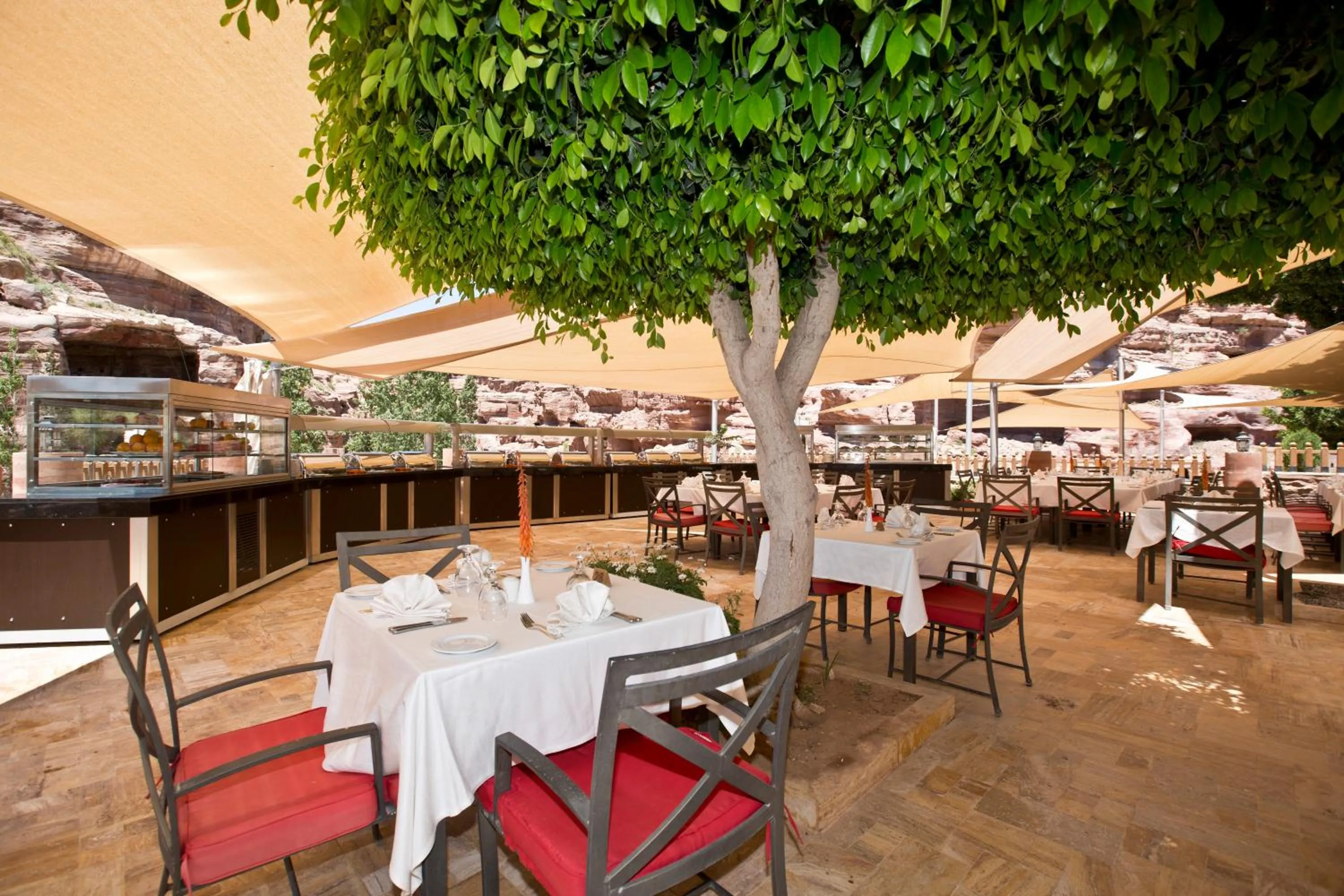 Restaurant/places to eat in Petra Guest House Hotel