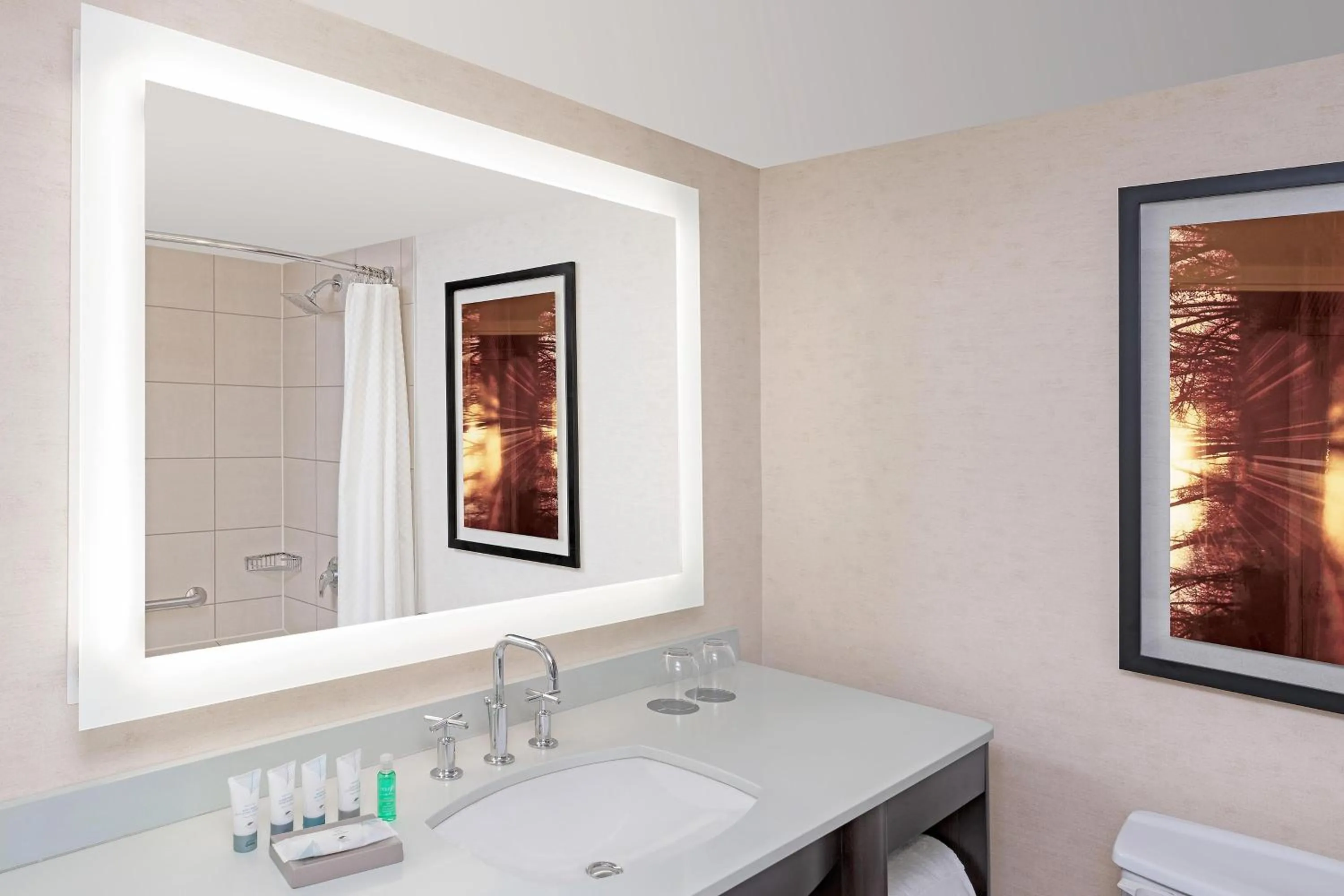 Bathroom in The Westin Calgary