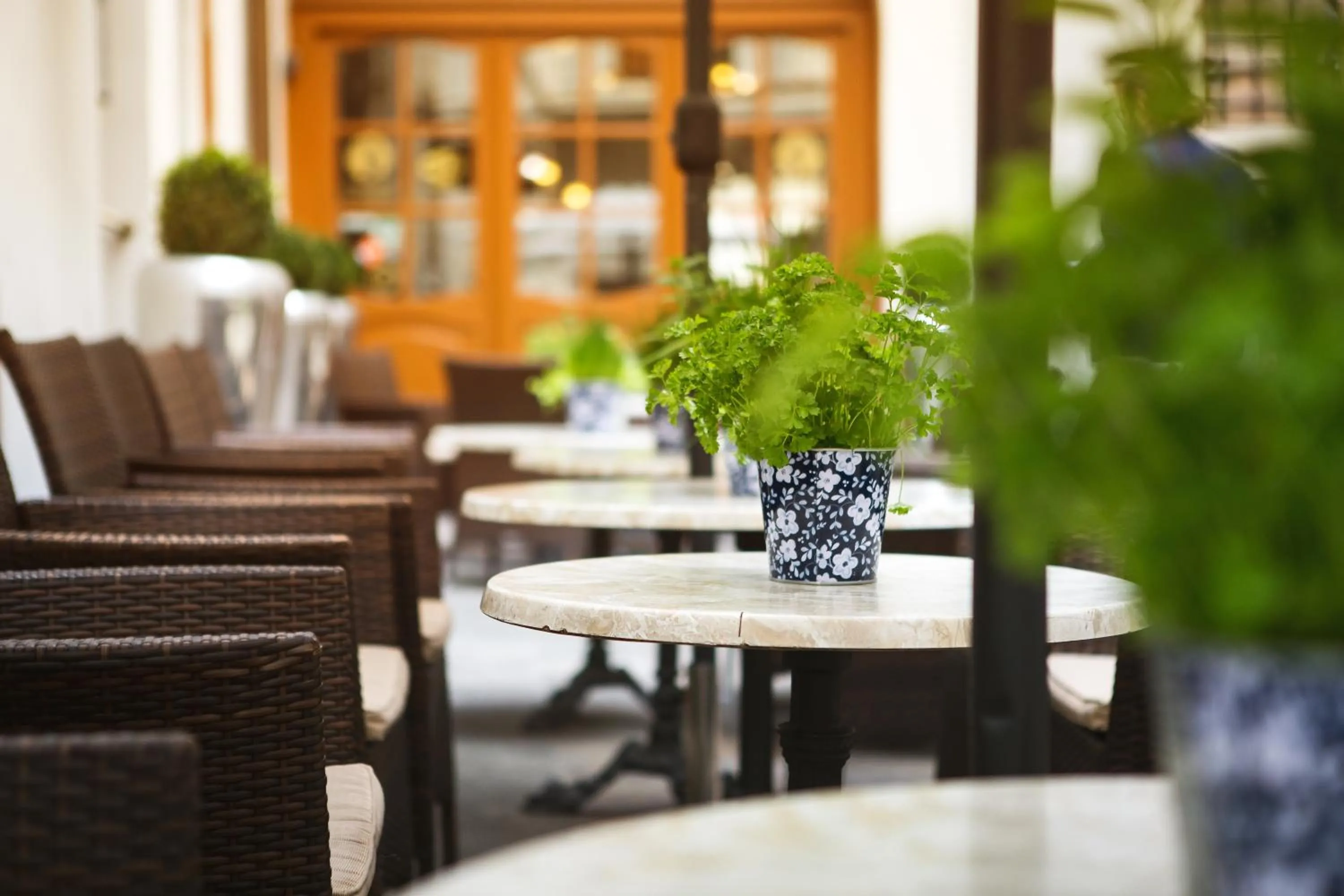 Property building in Hotel U Zlateho jelena