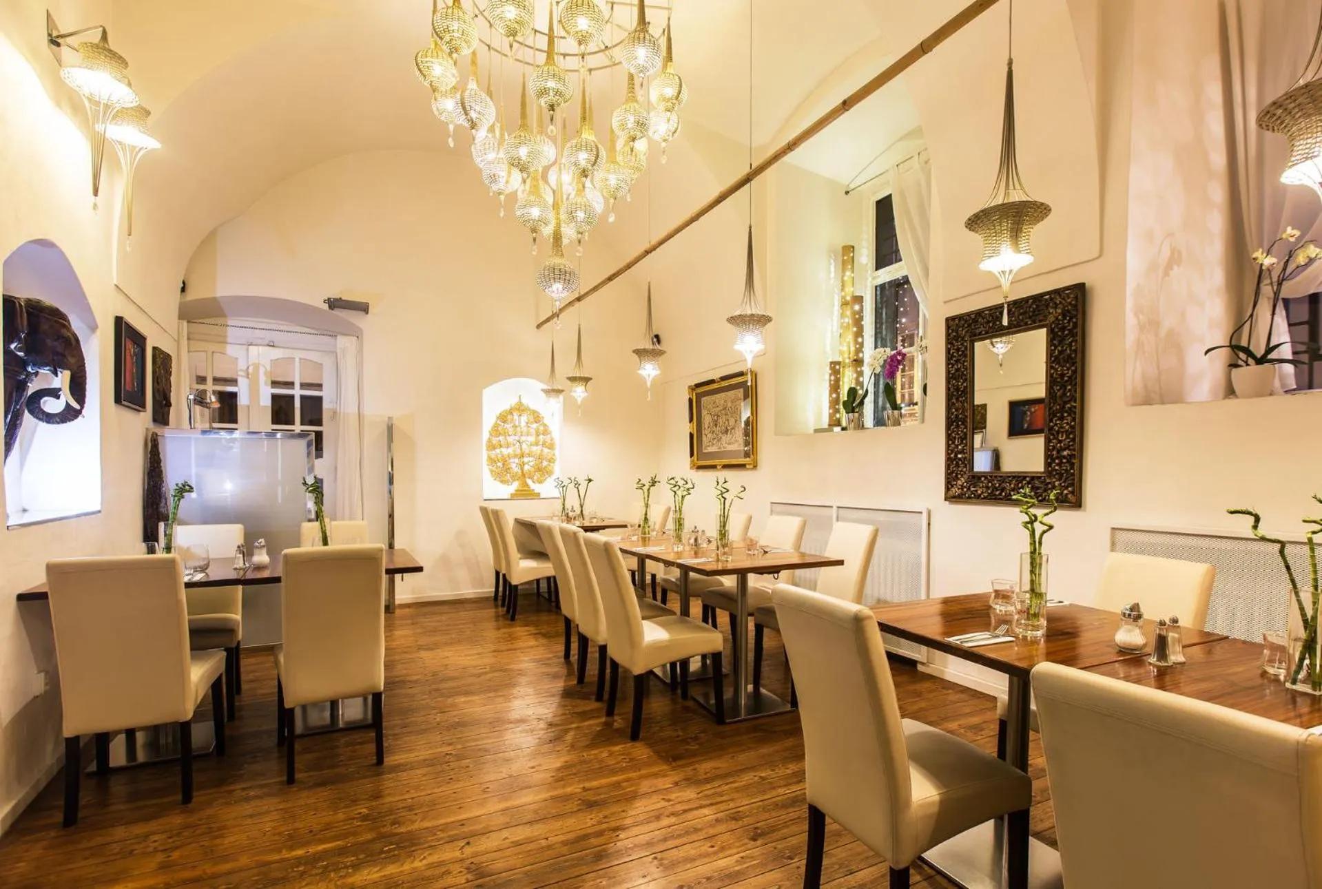 Restaurant/places to eat in Hotel U Zlateho jelena