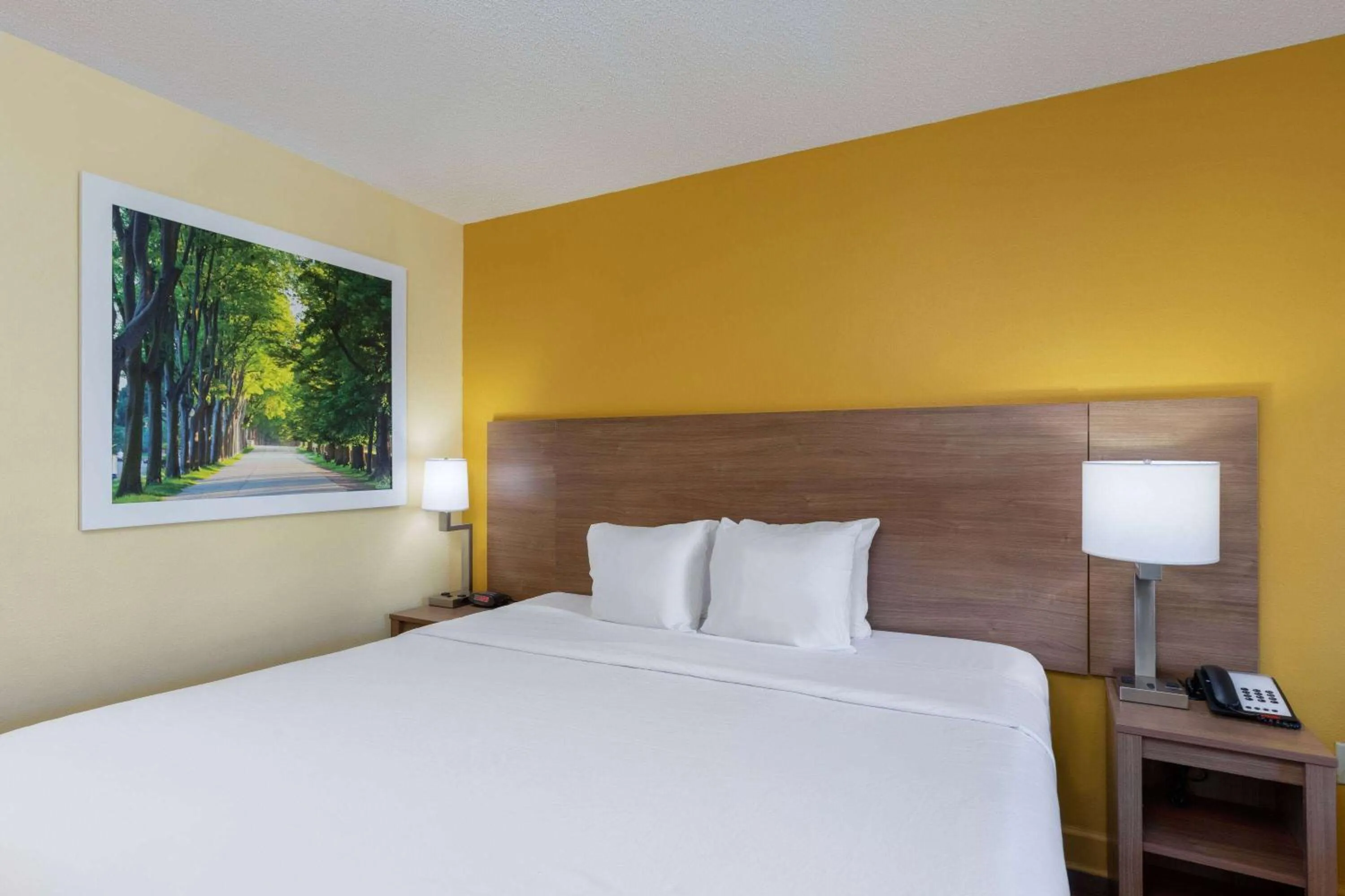 Bed in Days Inn by Wyndham Florence/I-95 North