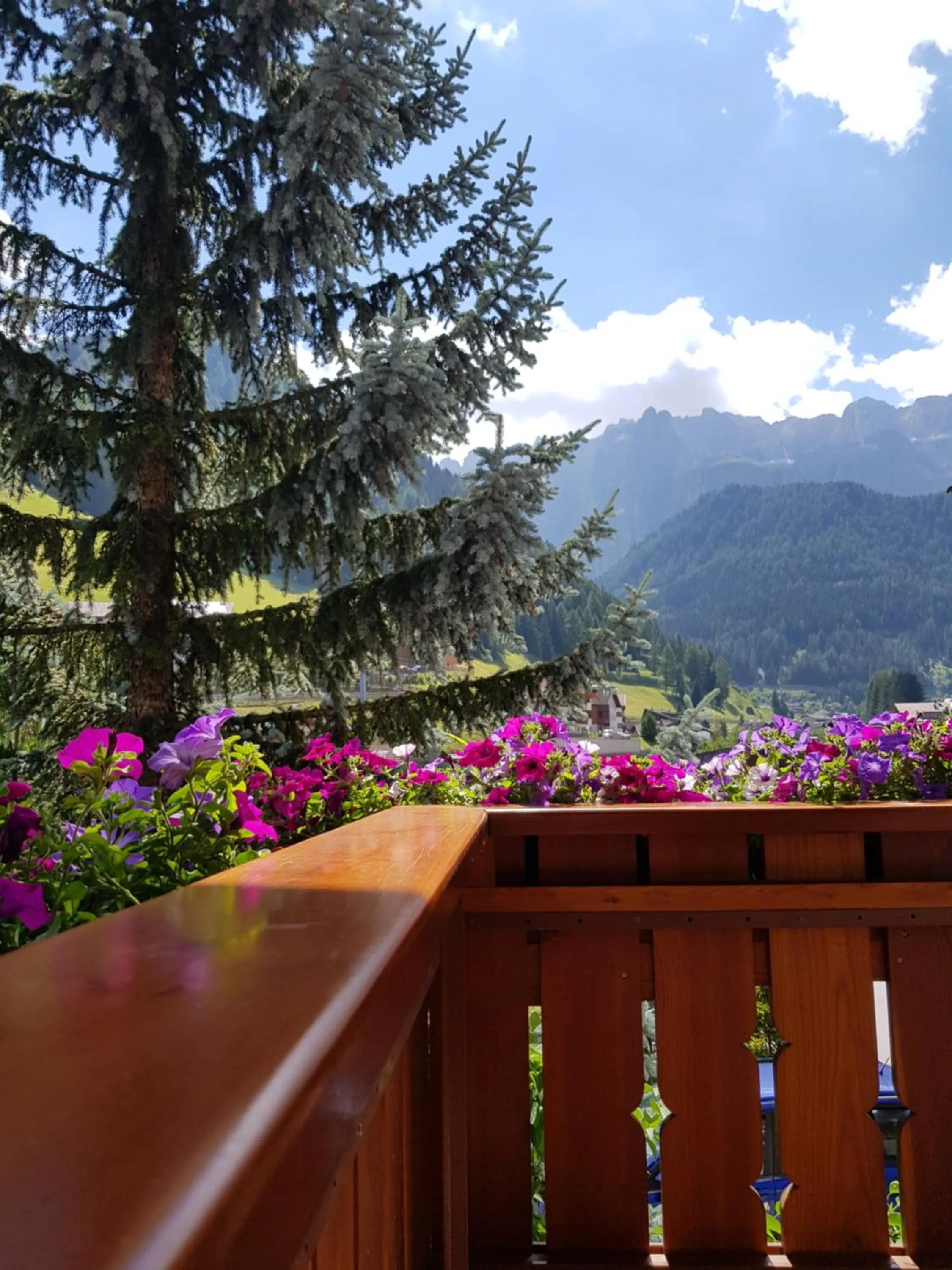 Balcony/Terrace in Garni Rubens B&B