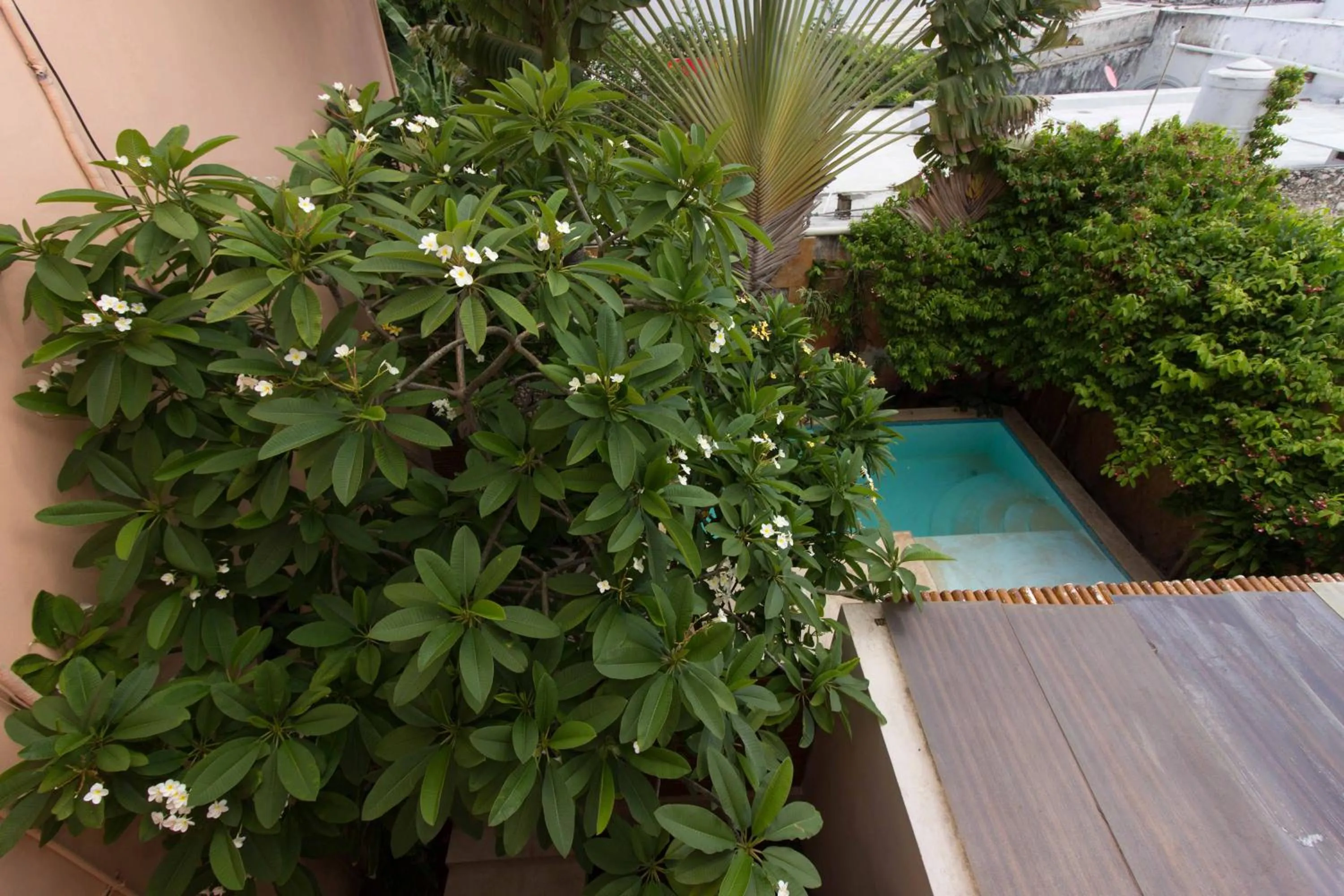 Swimming pool in Hotel Boutique Casa San Angel