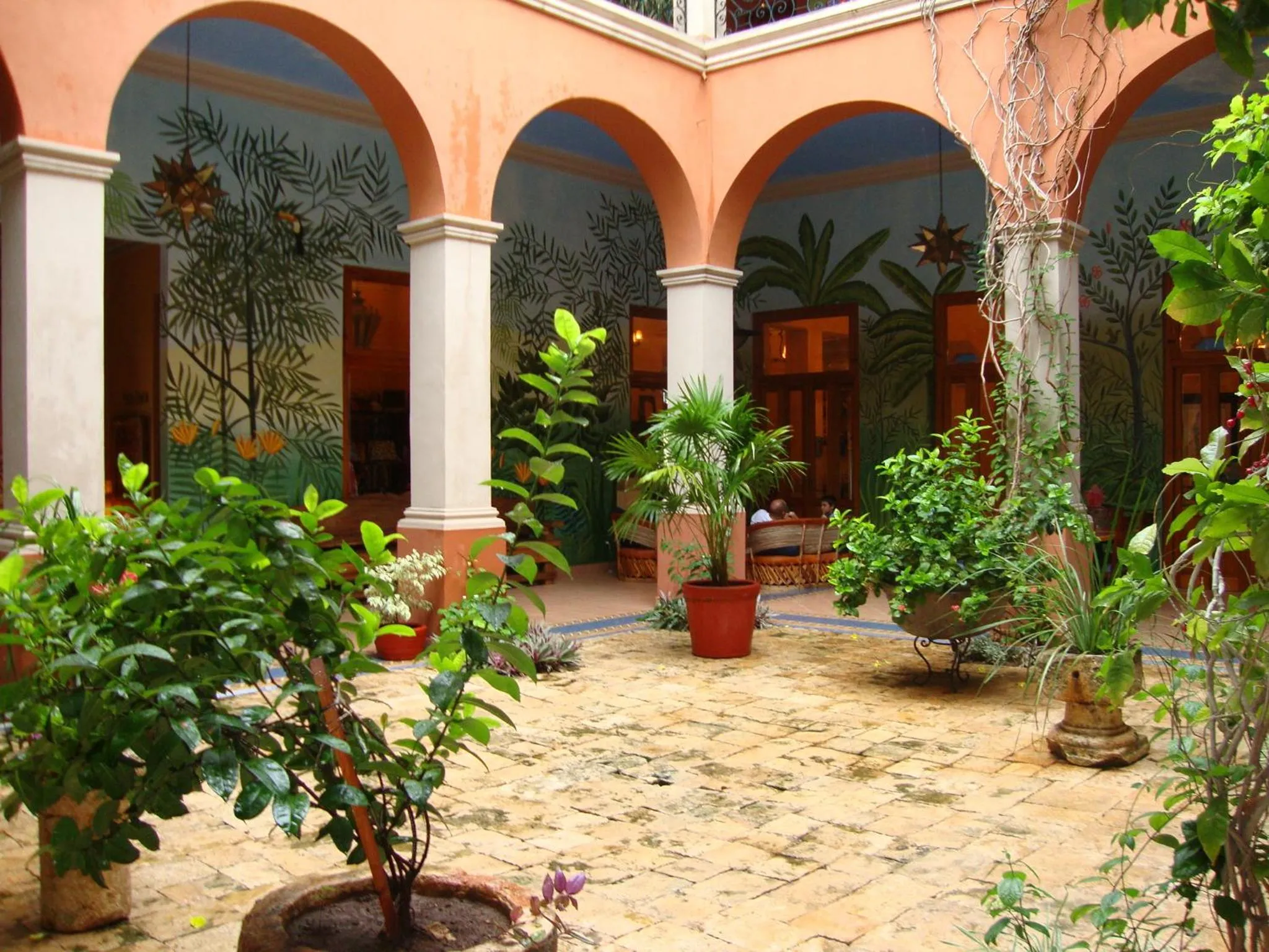 Garden view in Hotel Boutique Casa San Angel