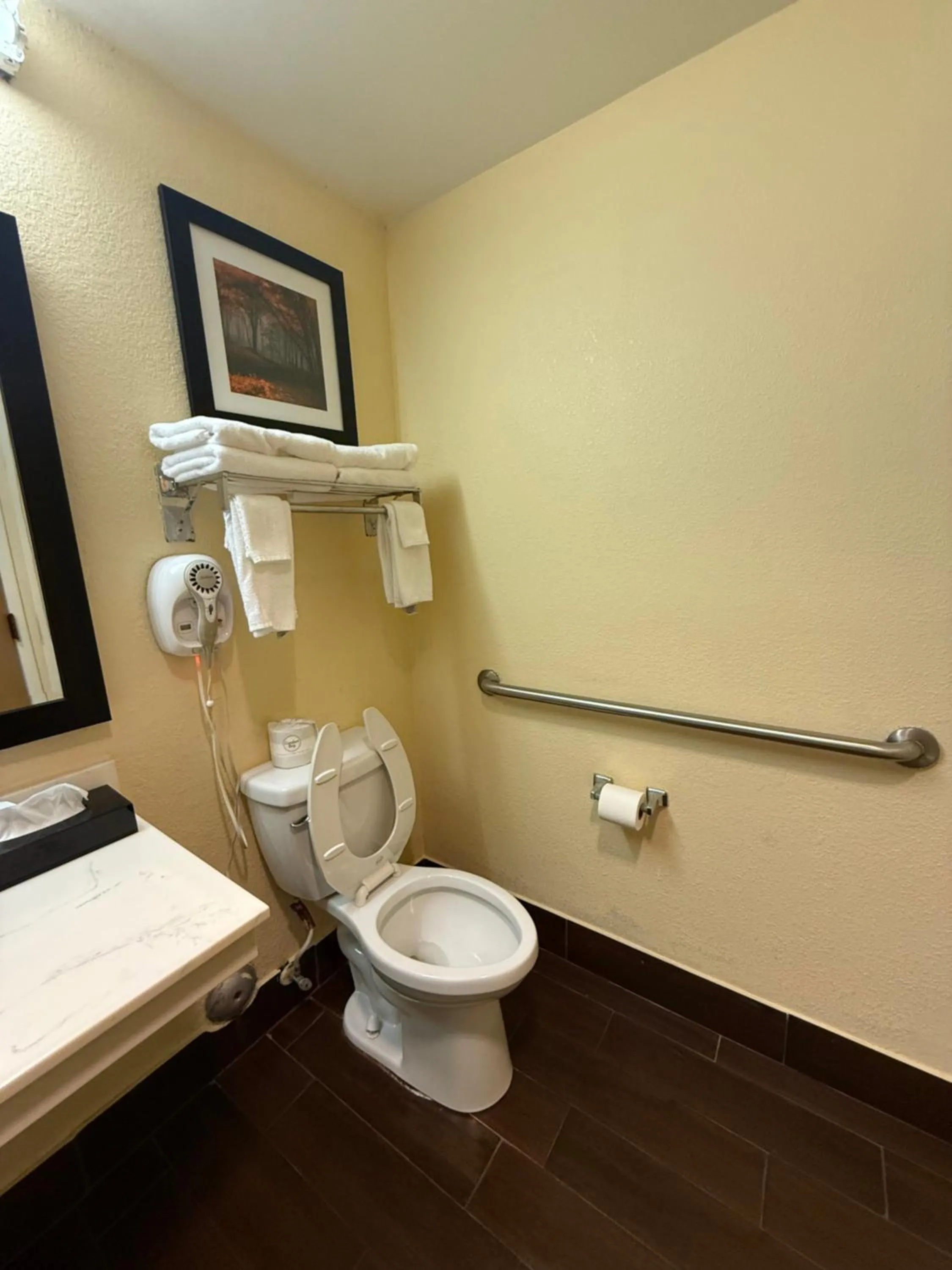 Toilet in Quality Inn & Suites Exmore - Eastern Shore