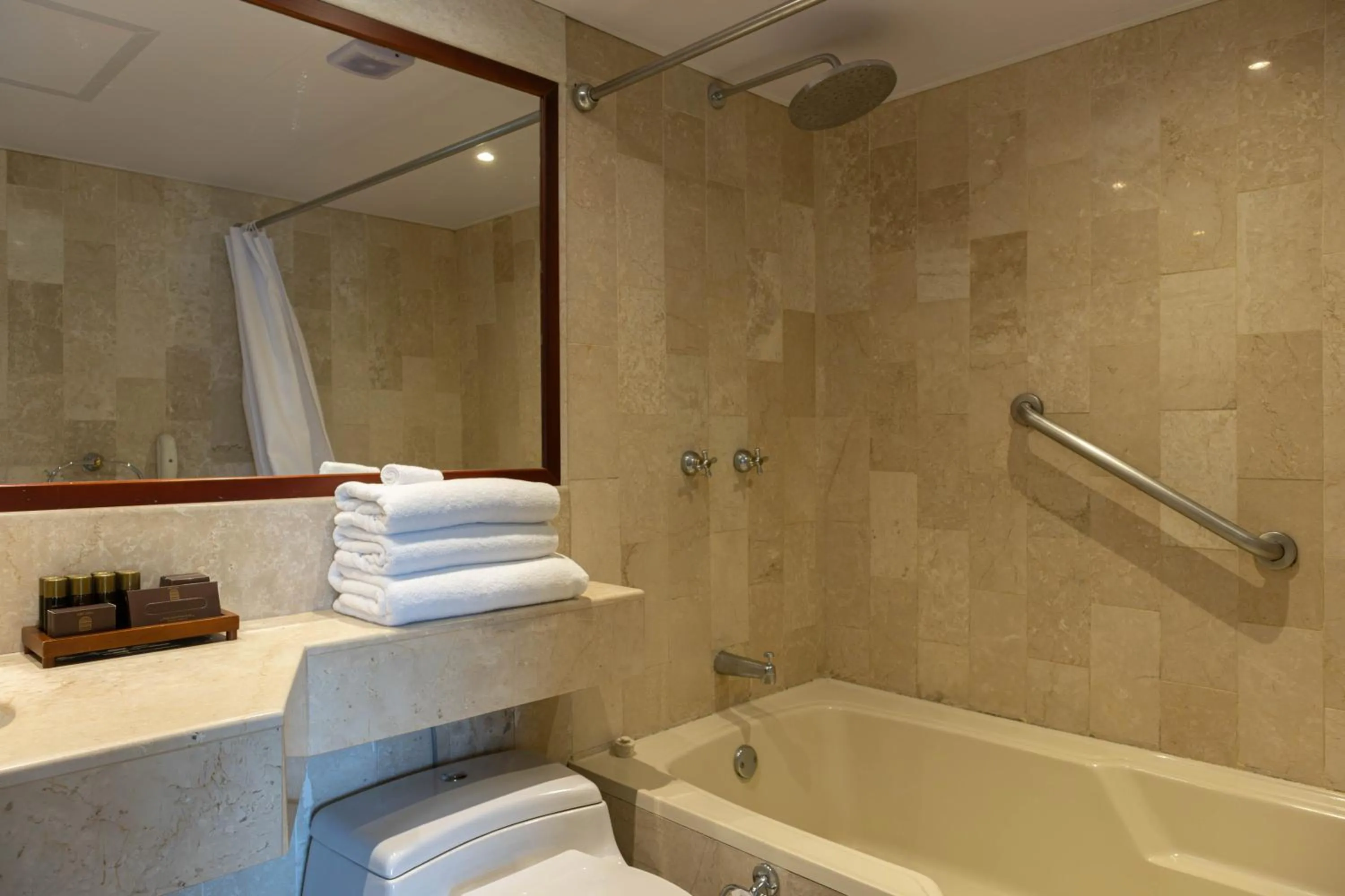 Toilet in Hotel Caribe by Faranda Grand, a member of Radisson Individuals