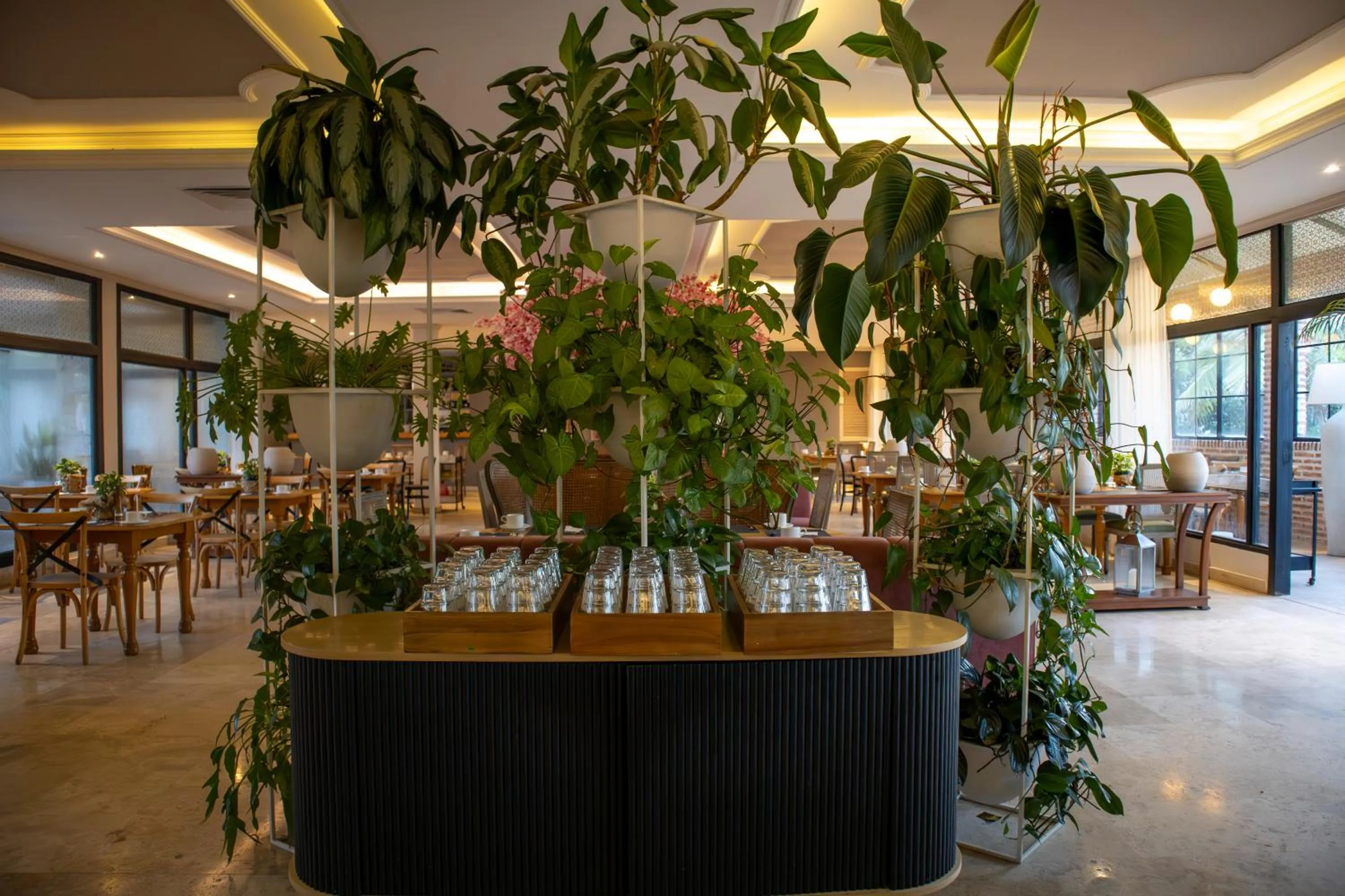 Restaurant/places to eat in Hotel Caribe by Faranda Grand, a member of Radisson Individuals