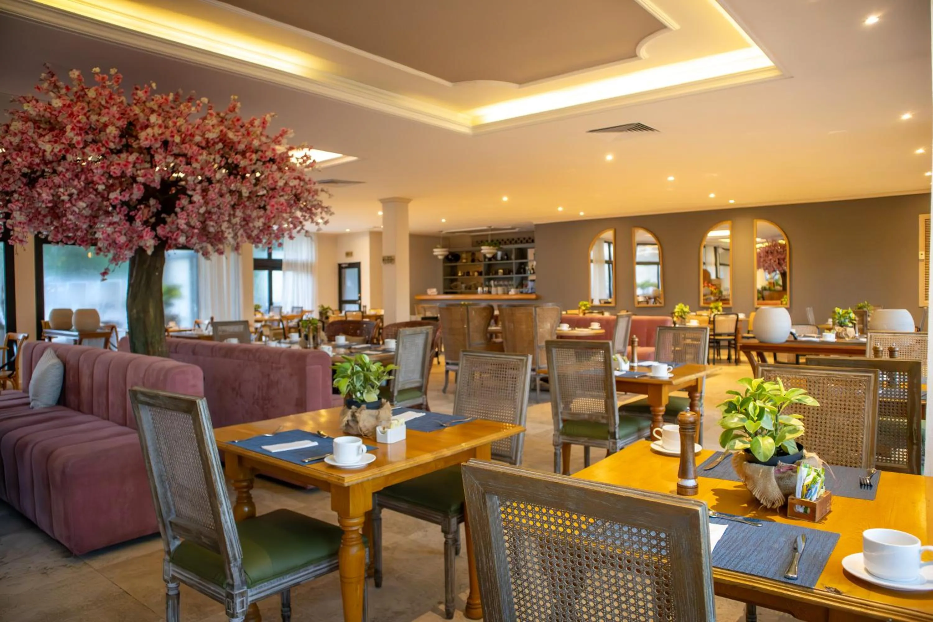 Restaurant/places to eat in Hotel Caribe by Faranda Grand, a member of Radisson Individuals