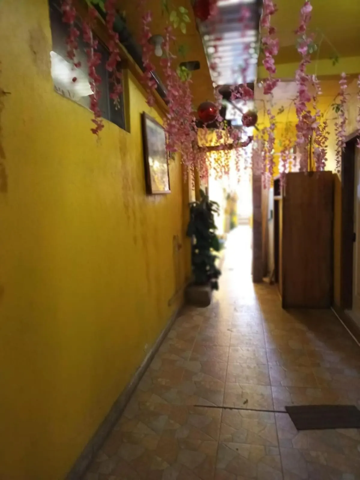 Hospedaje Barato Mi Casita de Colores