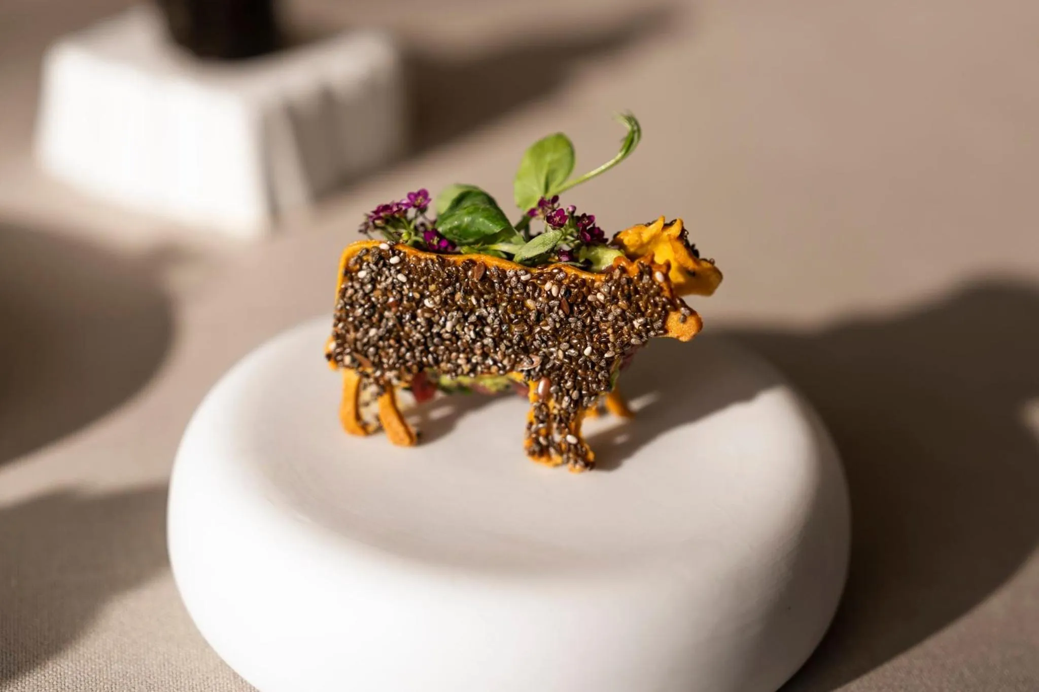 Restaurant/places to eat in COMO Castello Del Nero