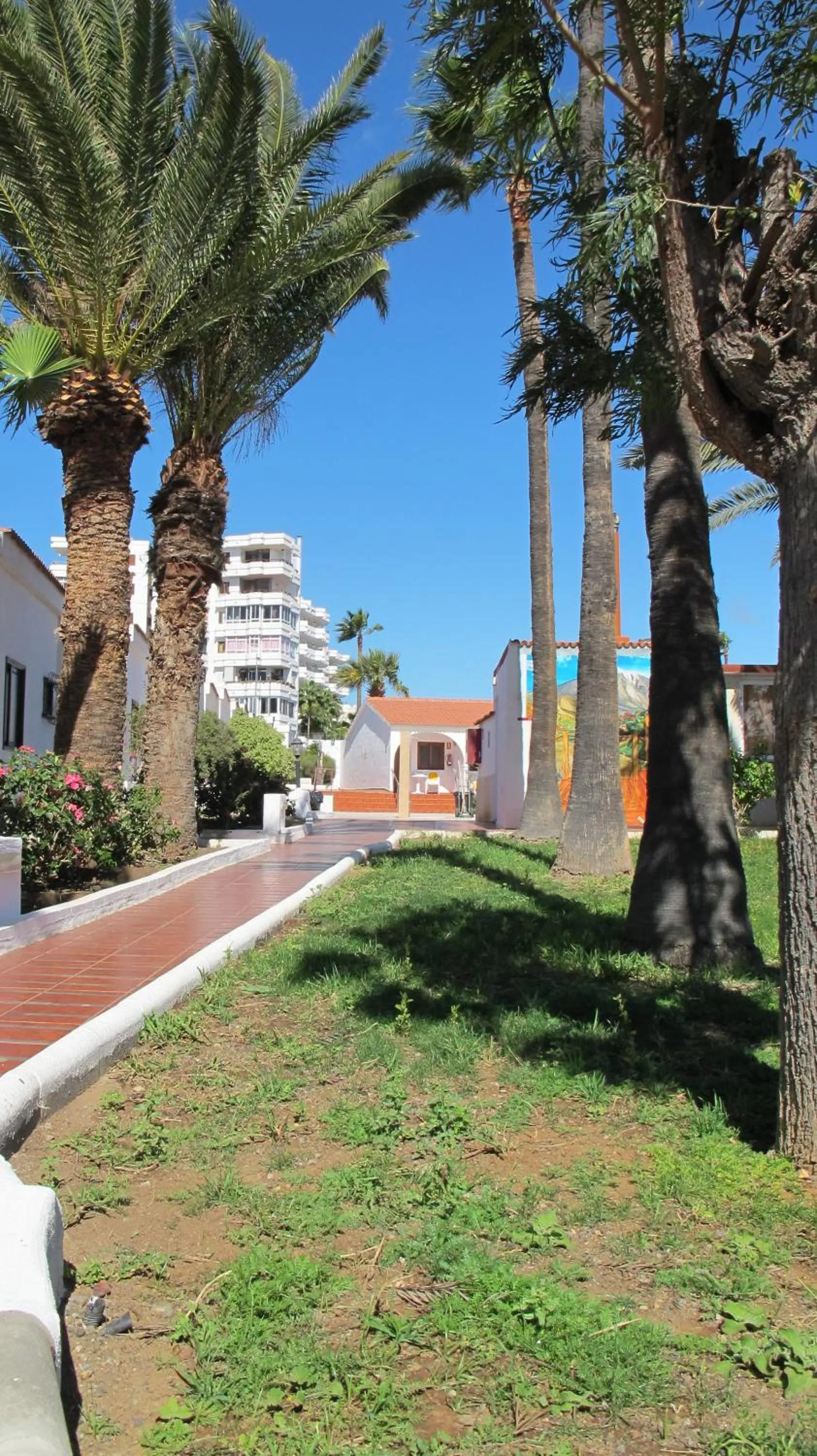 Garden in Bungalows Rebecca Park