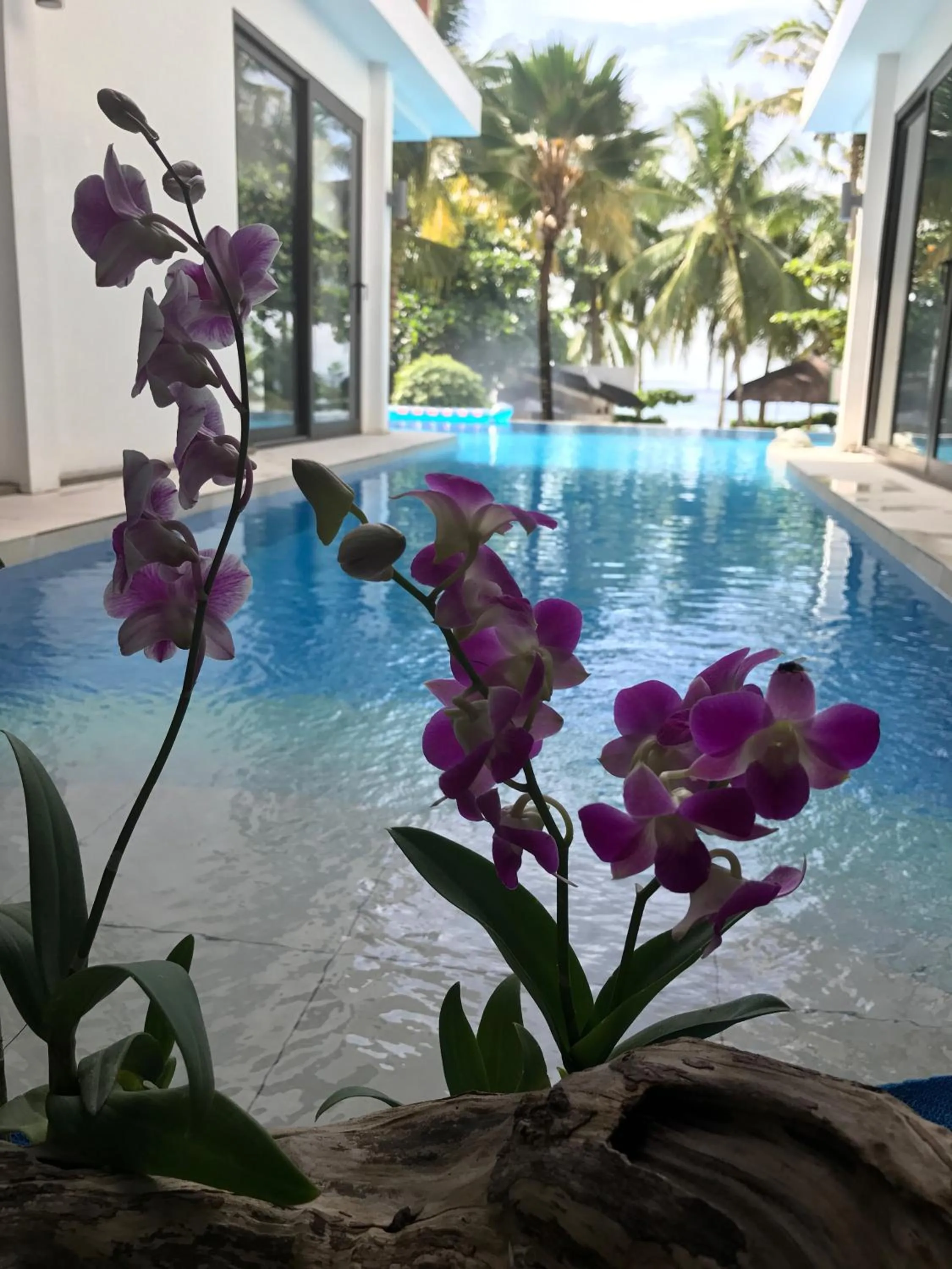 Swimming pool in The Whitehouse by the Sea