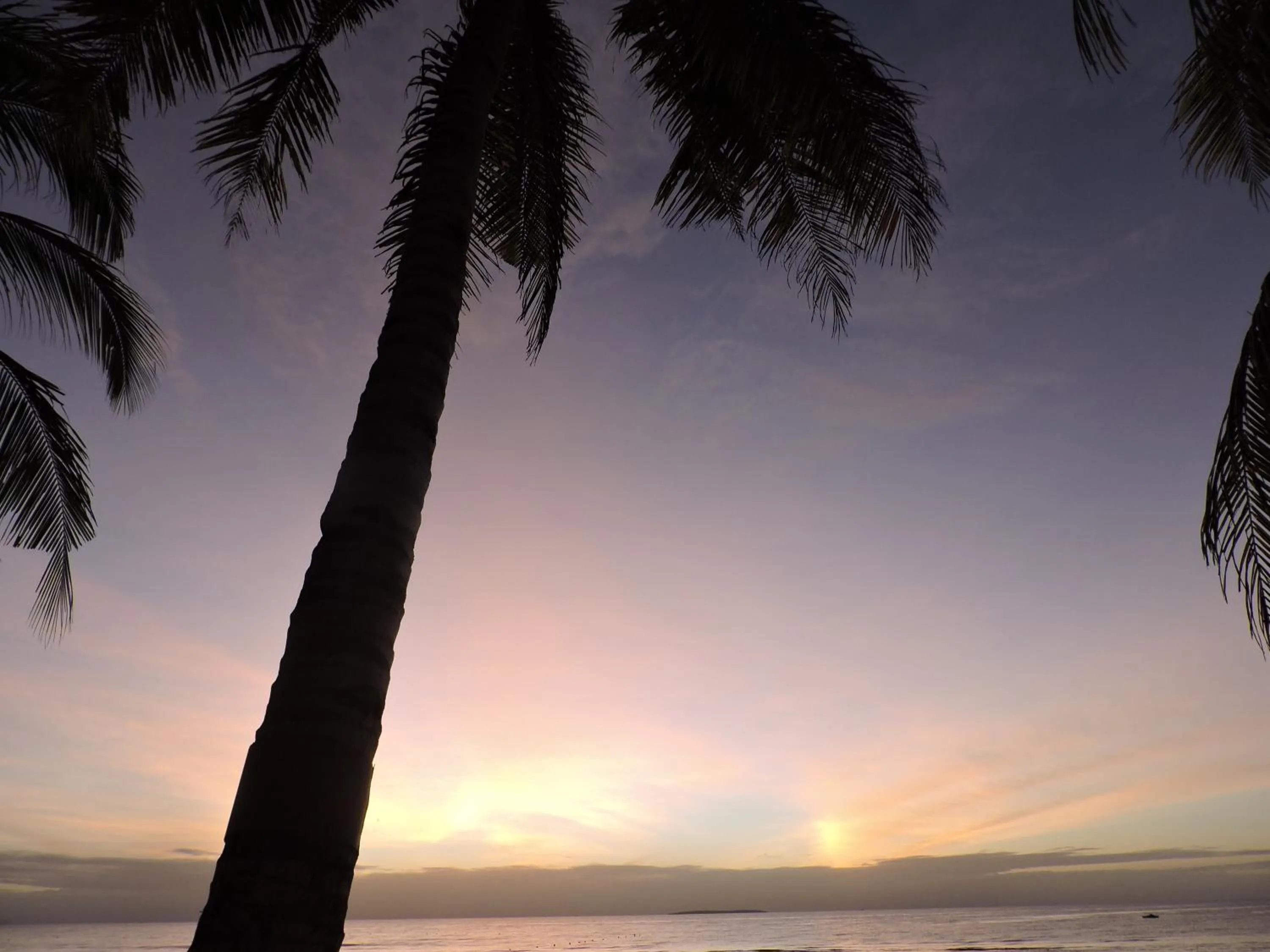 Summer in The Whitehouse by the Sea