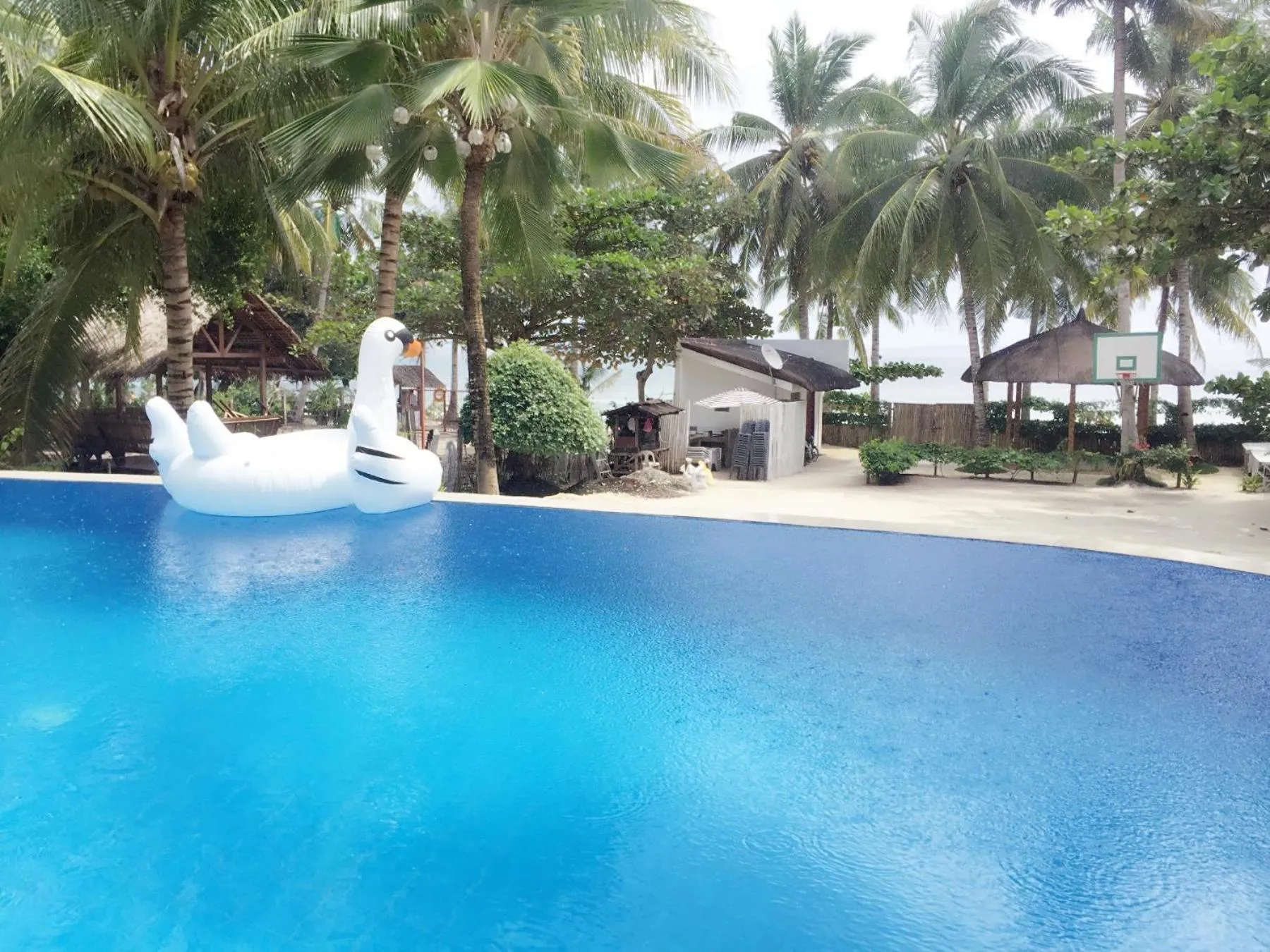 Swimming pool in The Whitehouse by the Sea