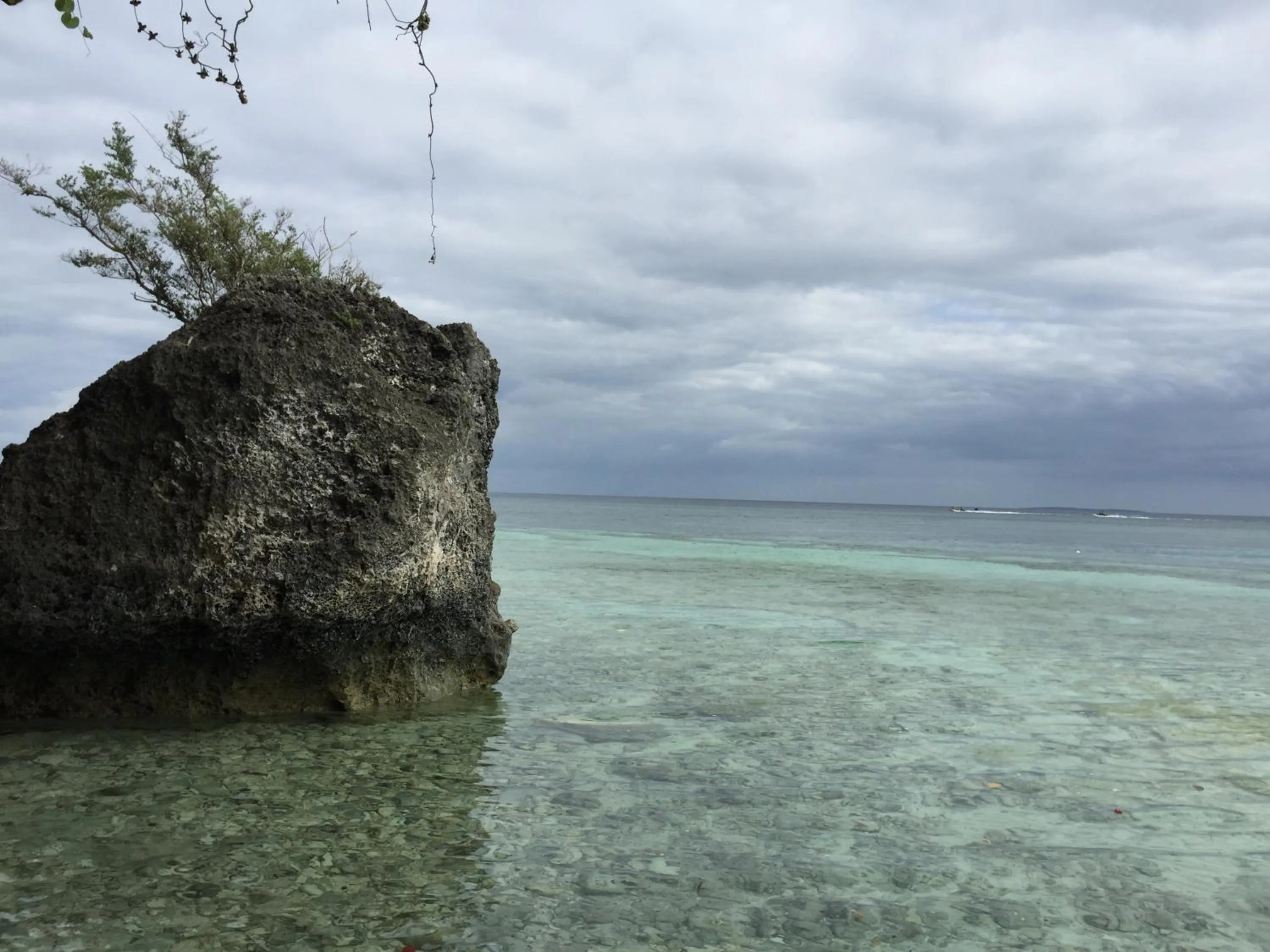 Summer in The Whitehouse by the Sea