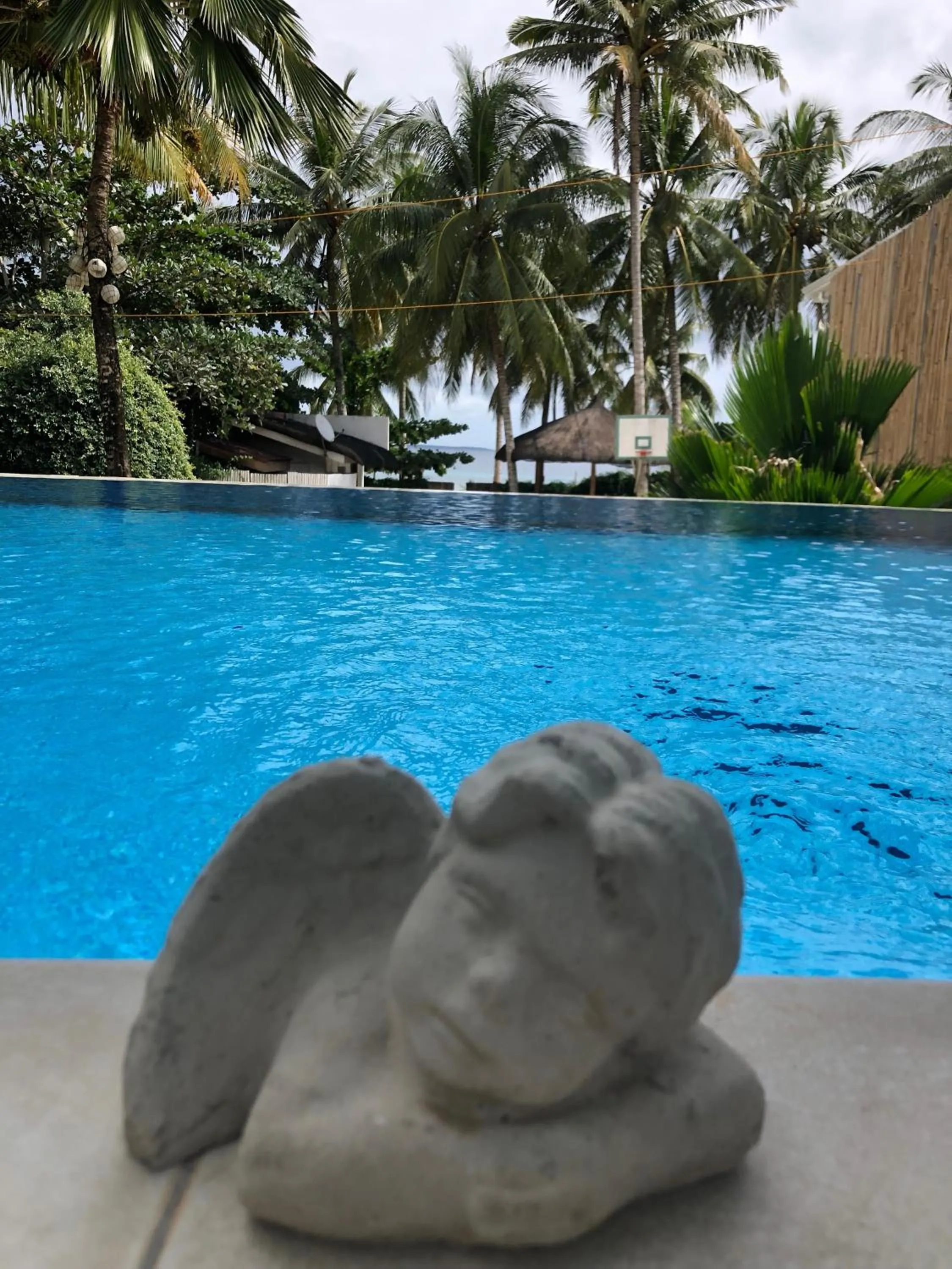 Swimming pool in The Whitehouse by the Sea