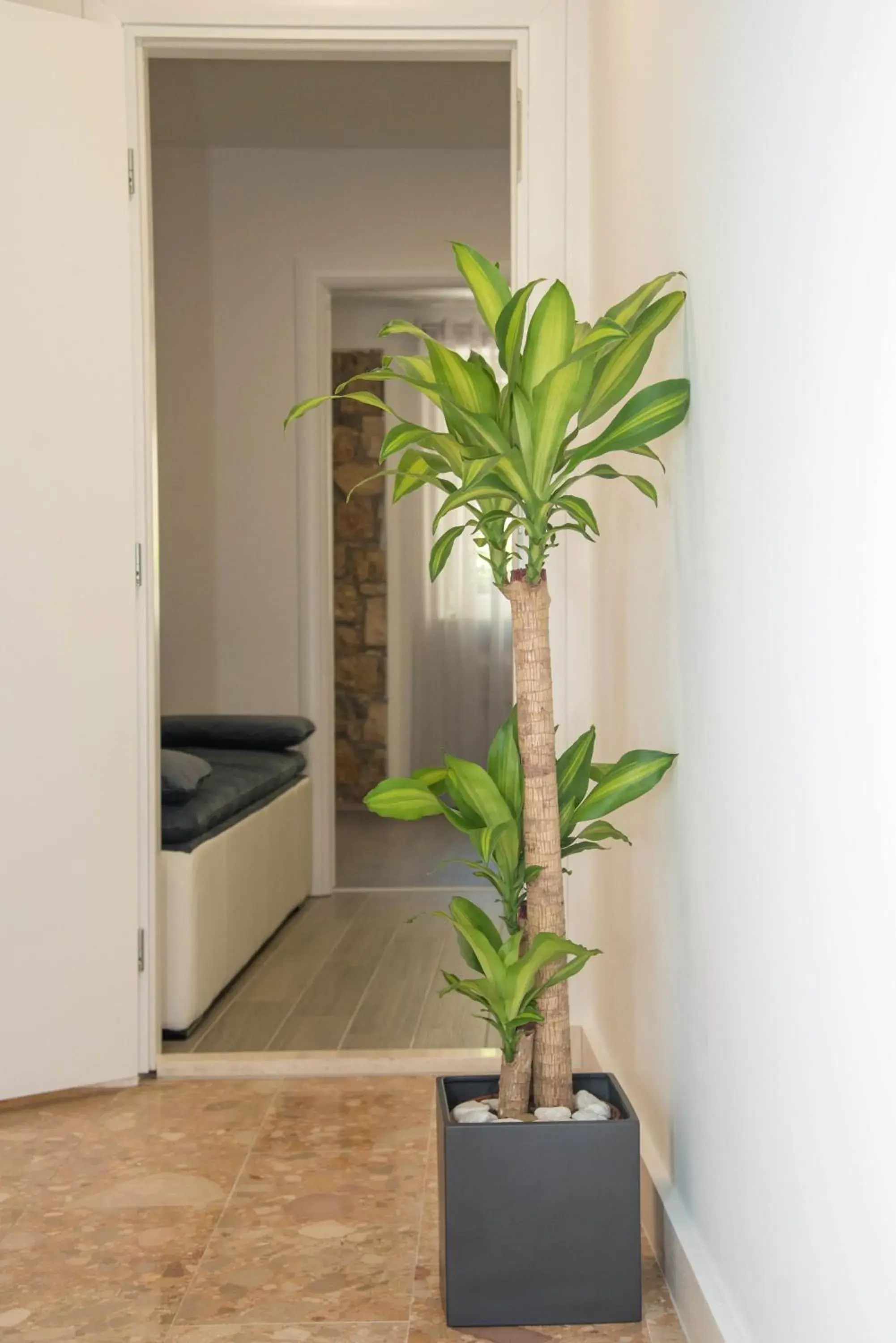 Luxury apartments Petrovac Luxury apartments Petrovac