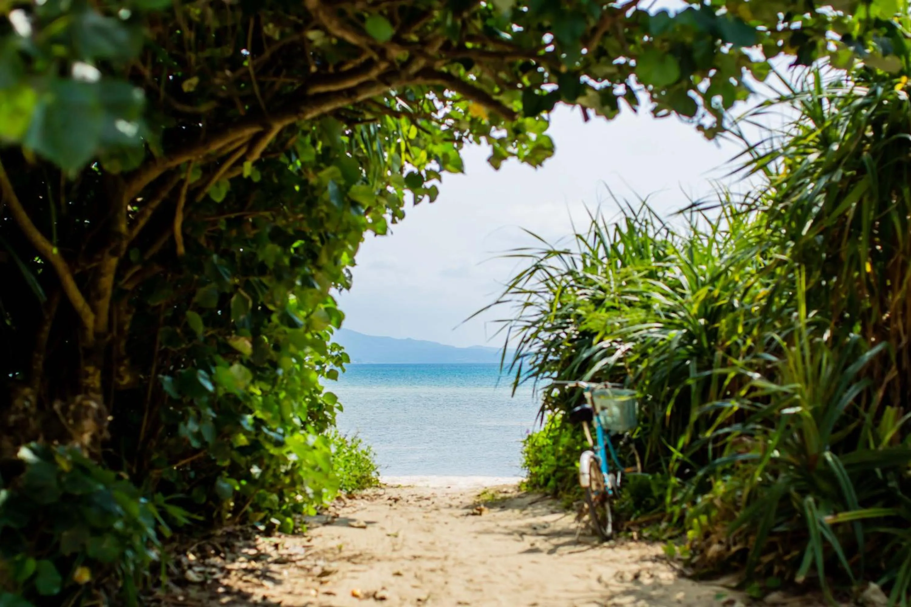 Natural landscape in Hotel YANBARUNIA Nago