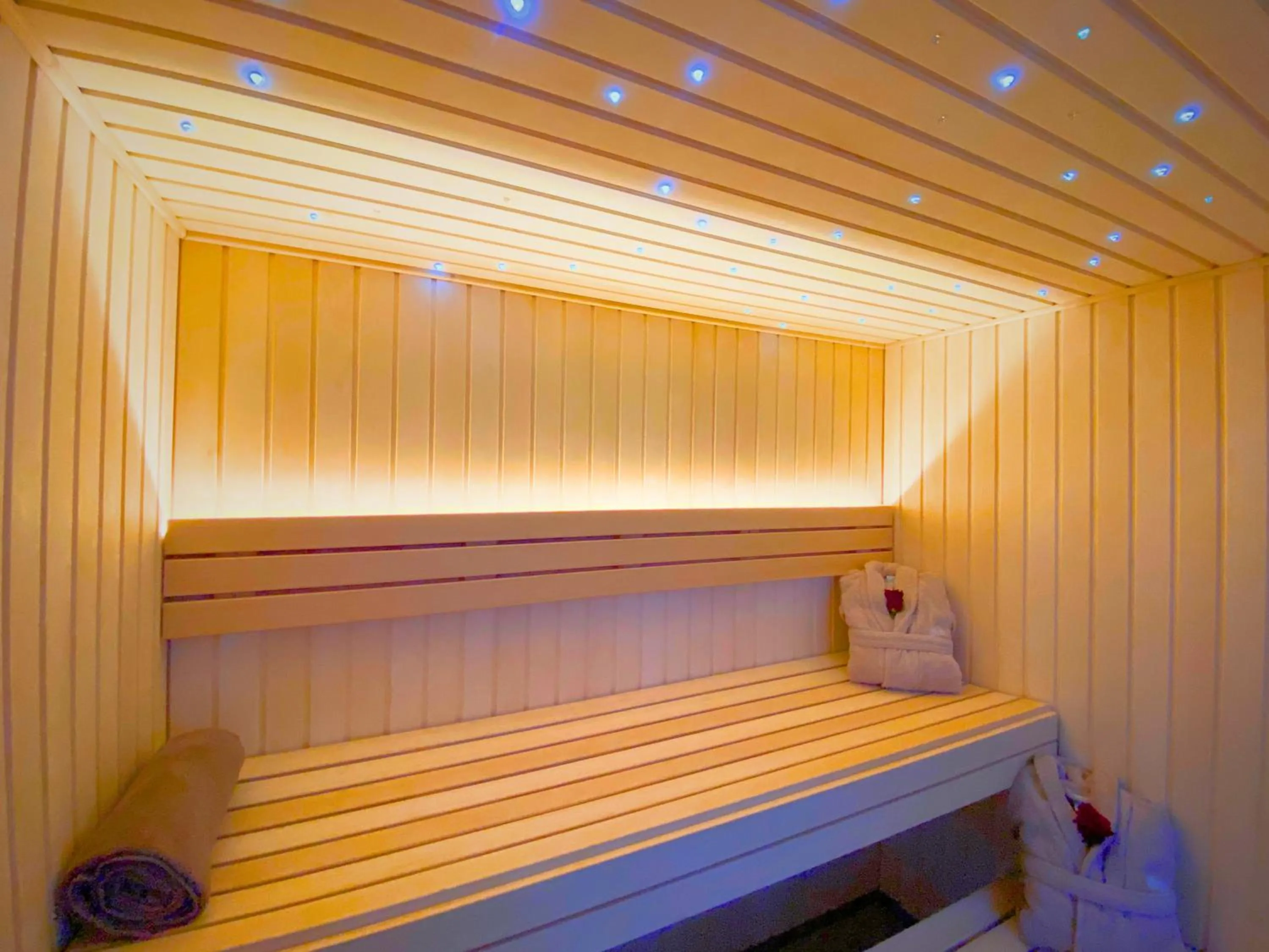 Sauna in Brit Hotel Piscine & Spa - Fougères