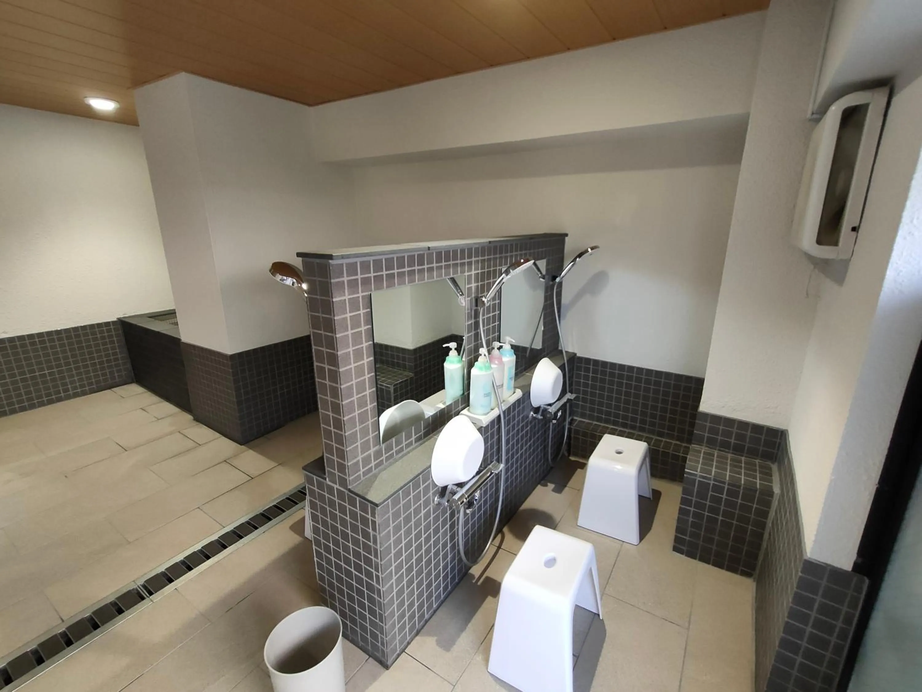 Public Bath in Hotel Edoya