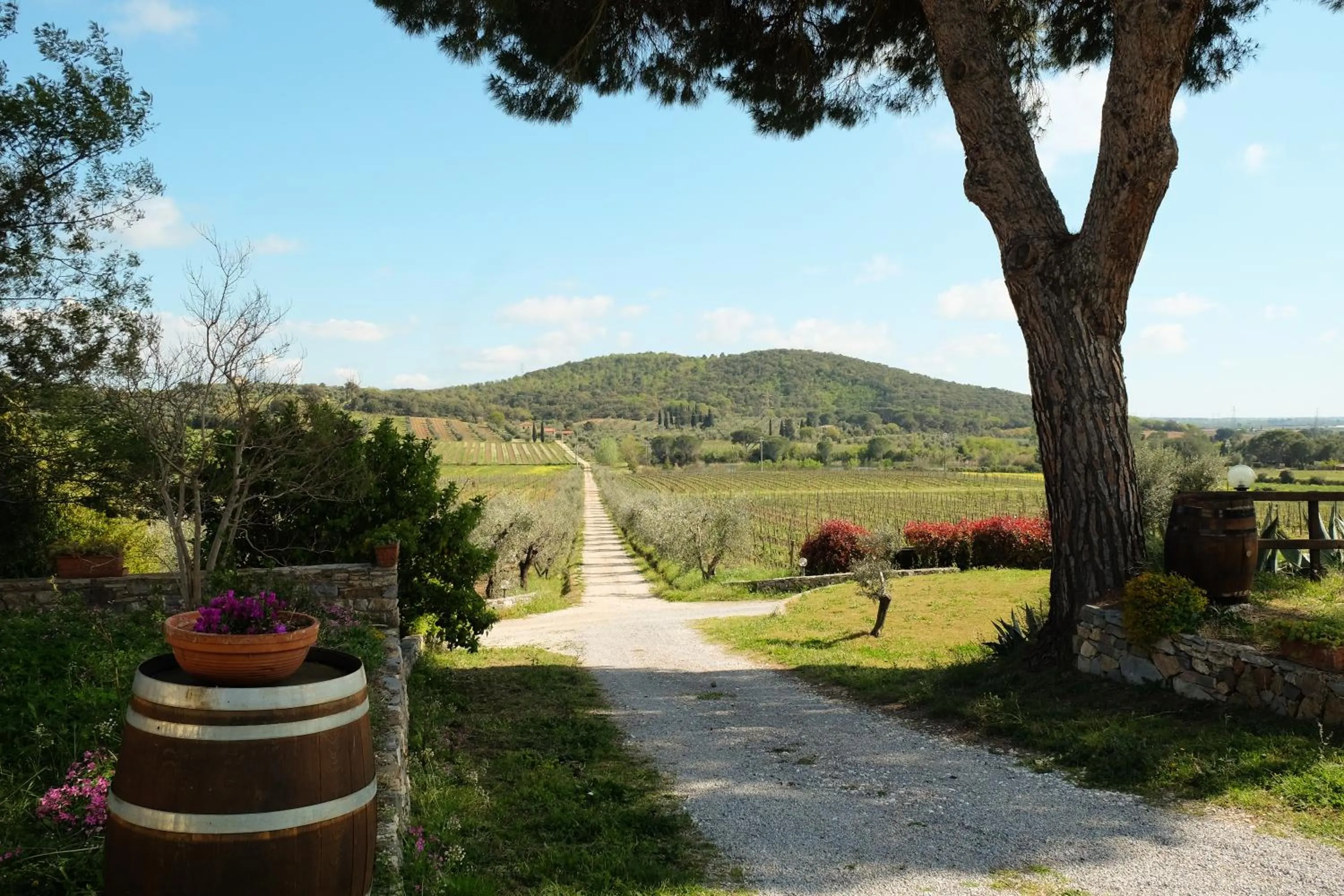 Garden in Agriturismo biologico Bulichella
