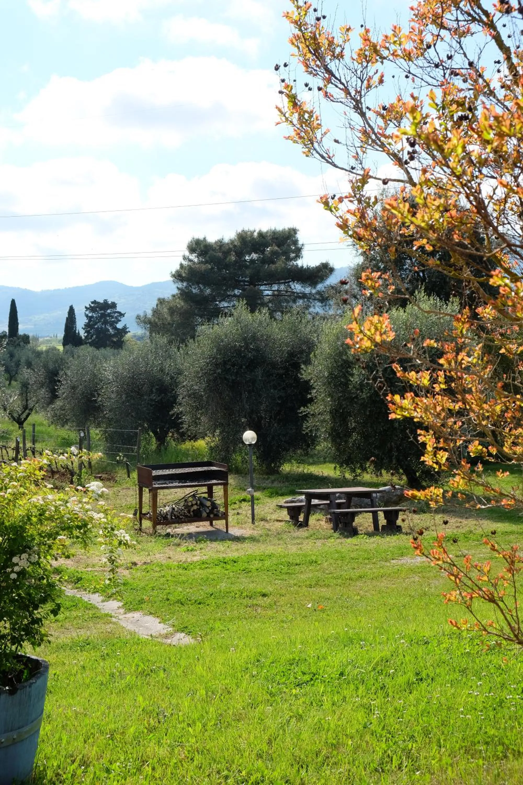 Garden in Agriturismo biologico Bulichella