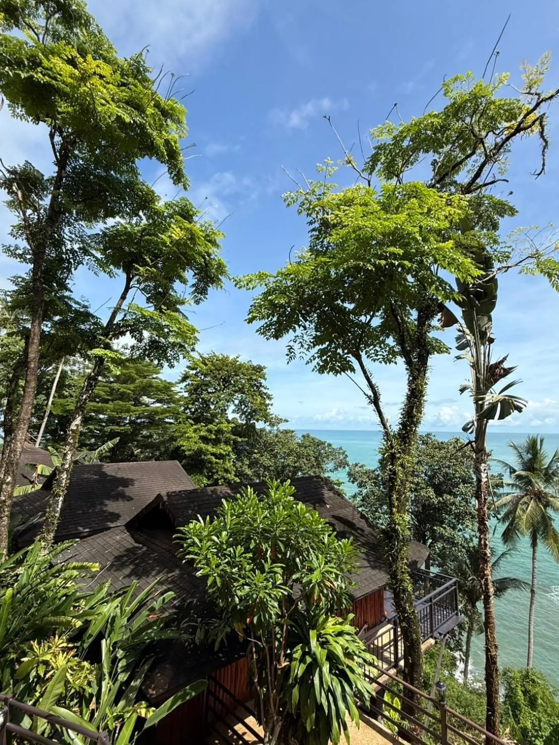 Natural landscape in Baan Krating Khao Lak Resort - SHA plus