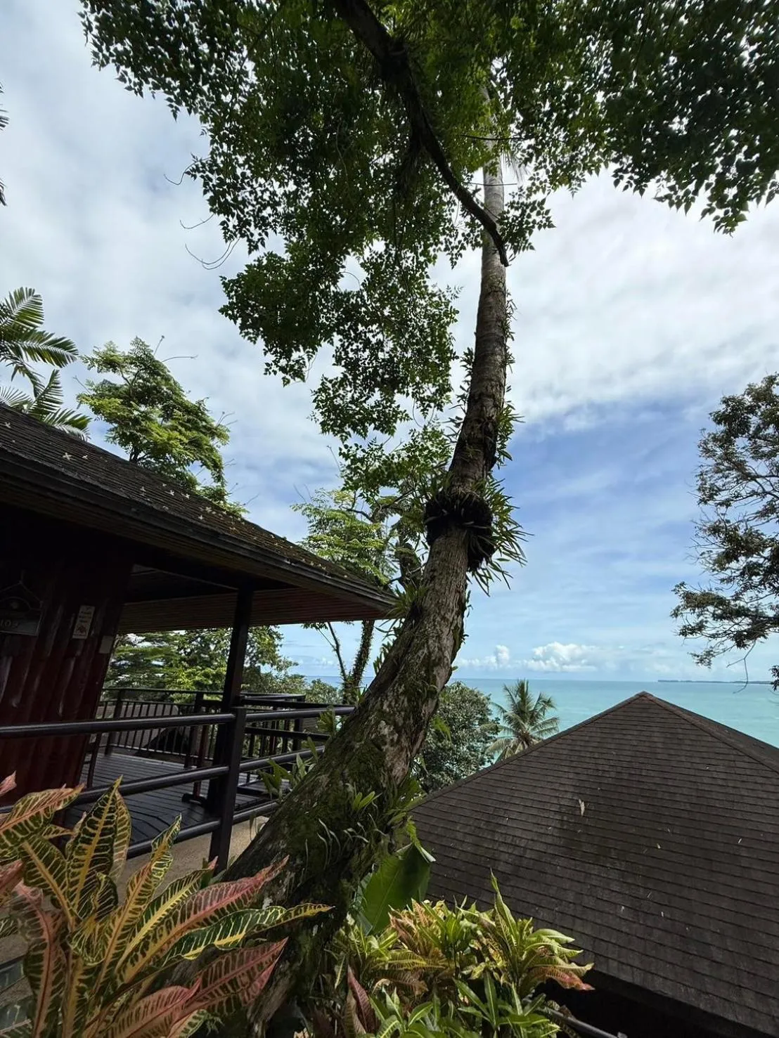 Natural landscape in Baan Krating Khao Lak Resort - SHA plus