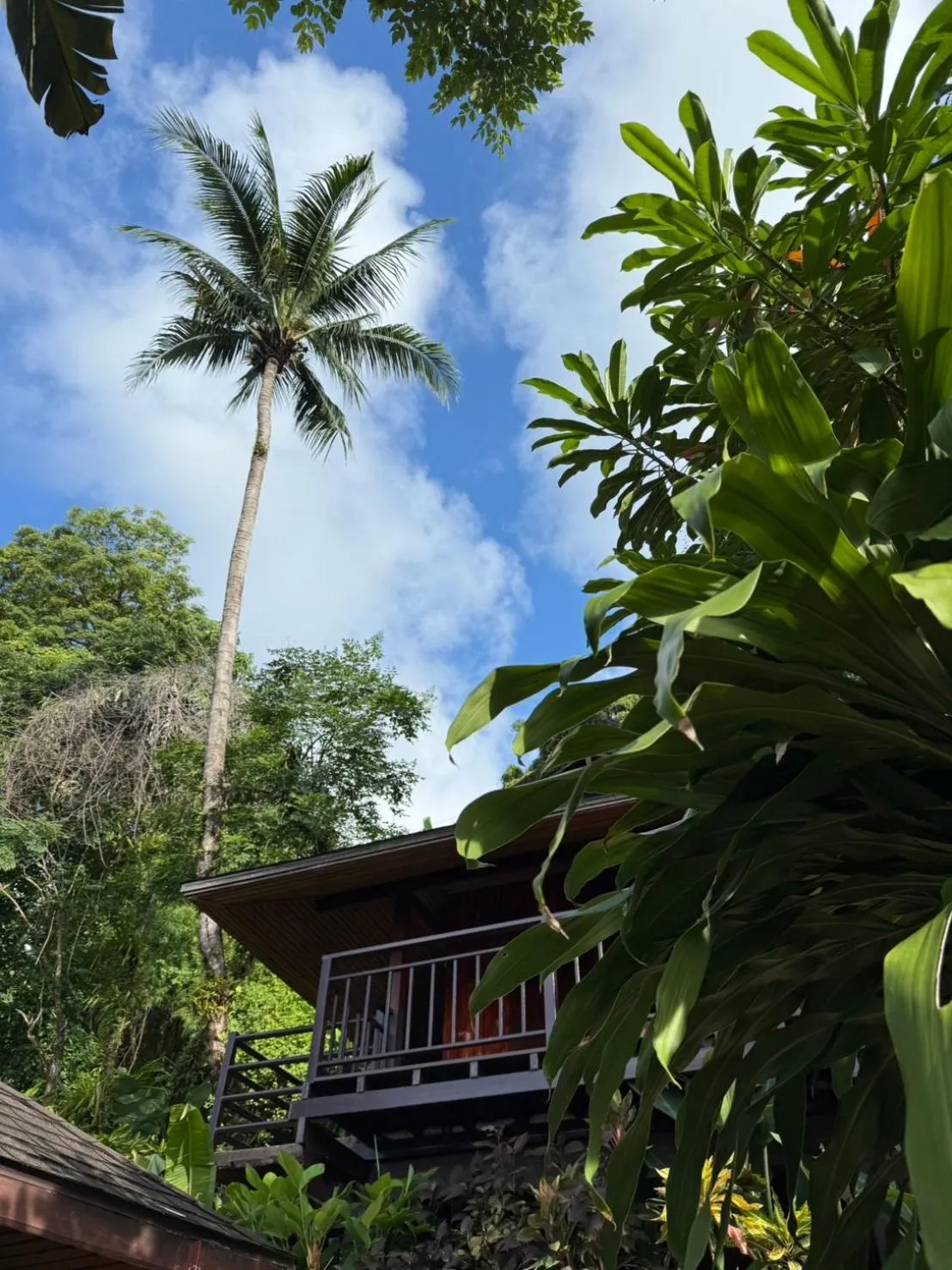 Garden in Baan Krating Khao Lak Resort - SHA plus