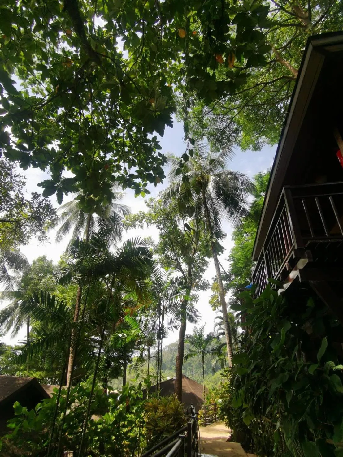 Property building in Baan Krating Khao Lak Resort - SHA plus