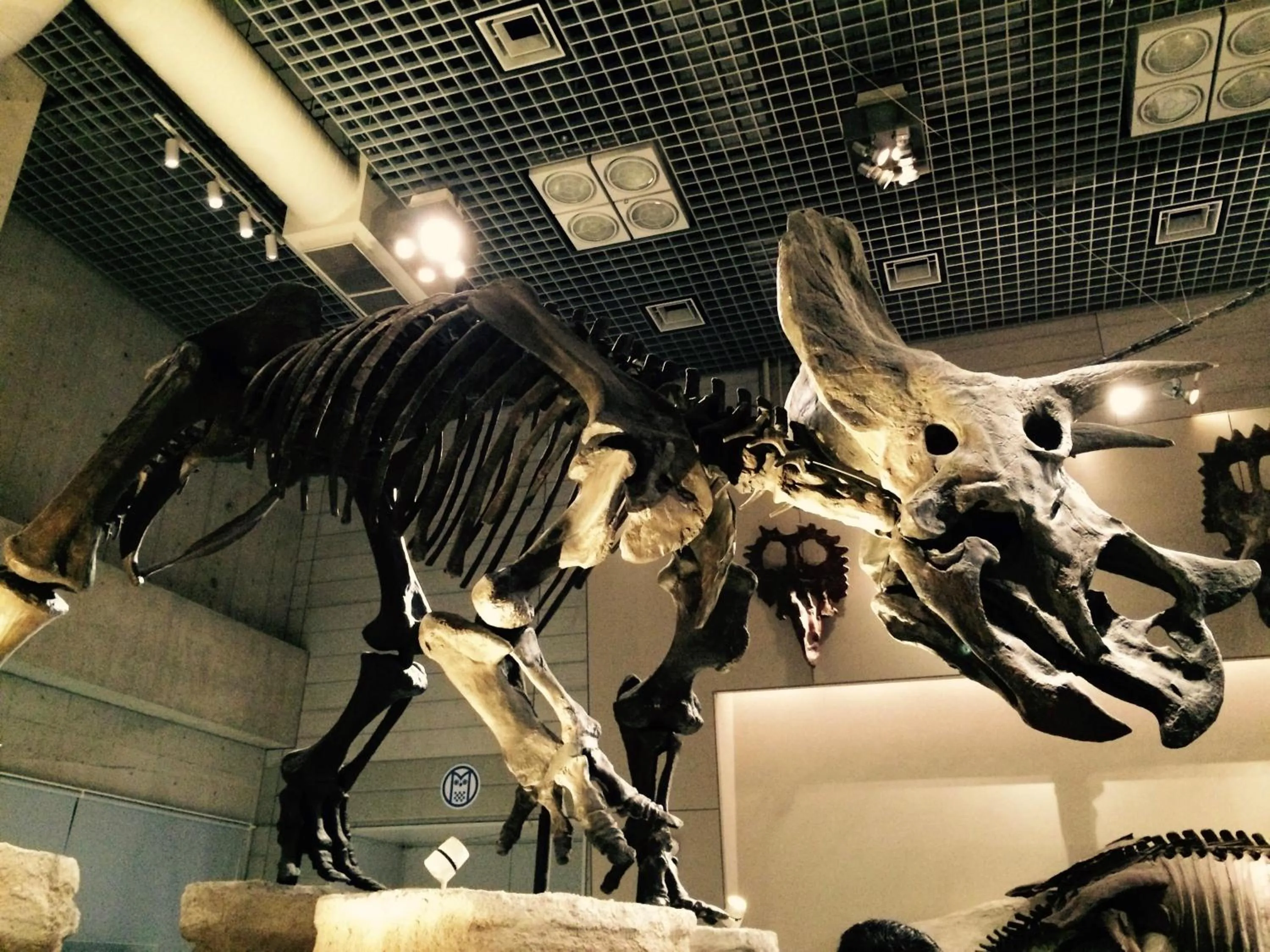 Nearby landmark in Hotel Wing International Select Ueno Okachimachi