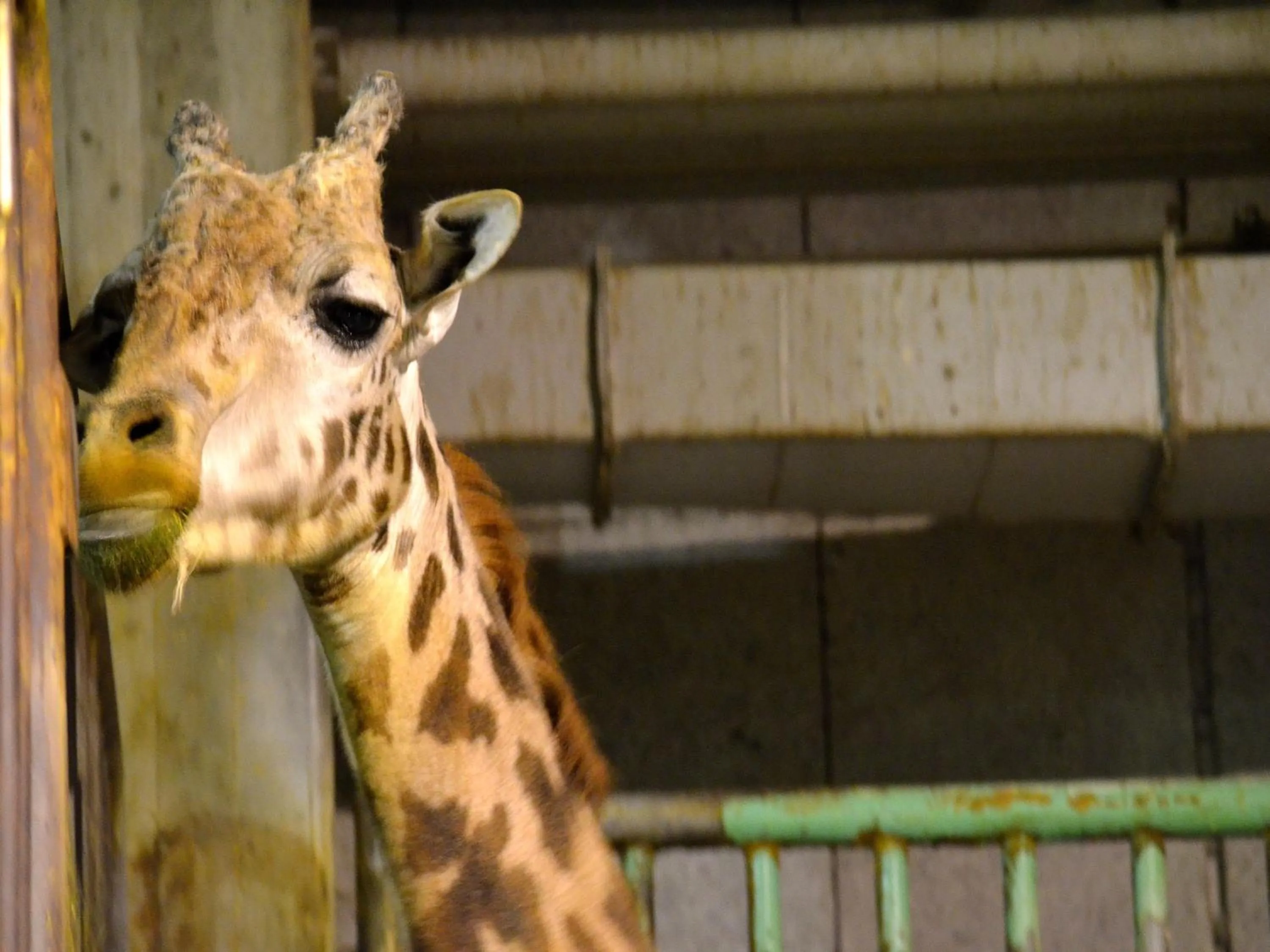 Nearby landmark in Hotel Wing International Select Ueno Okachimachi
