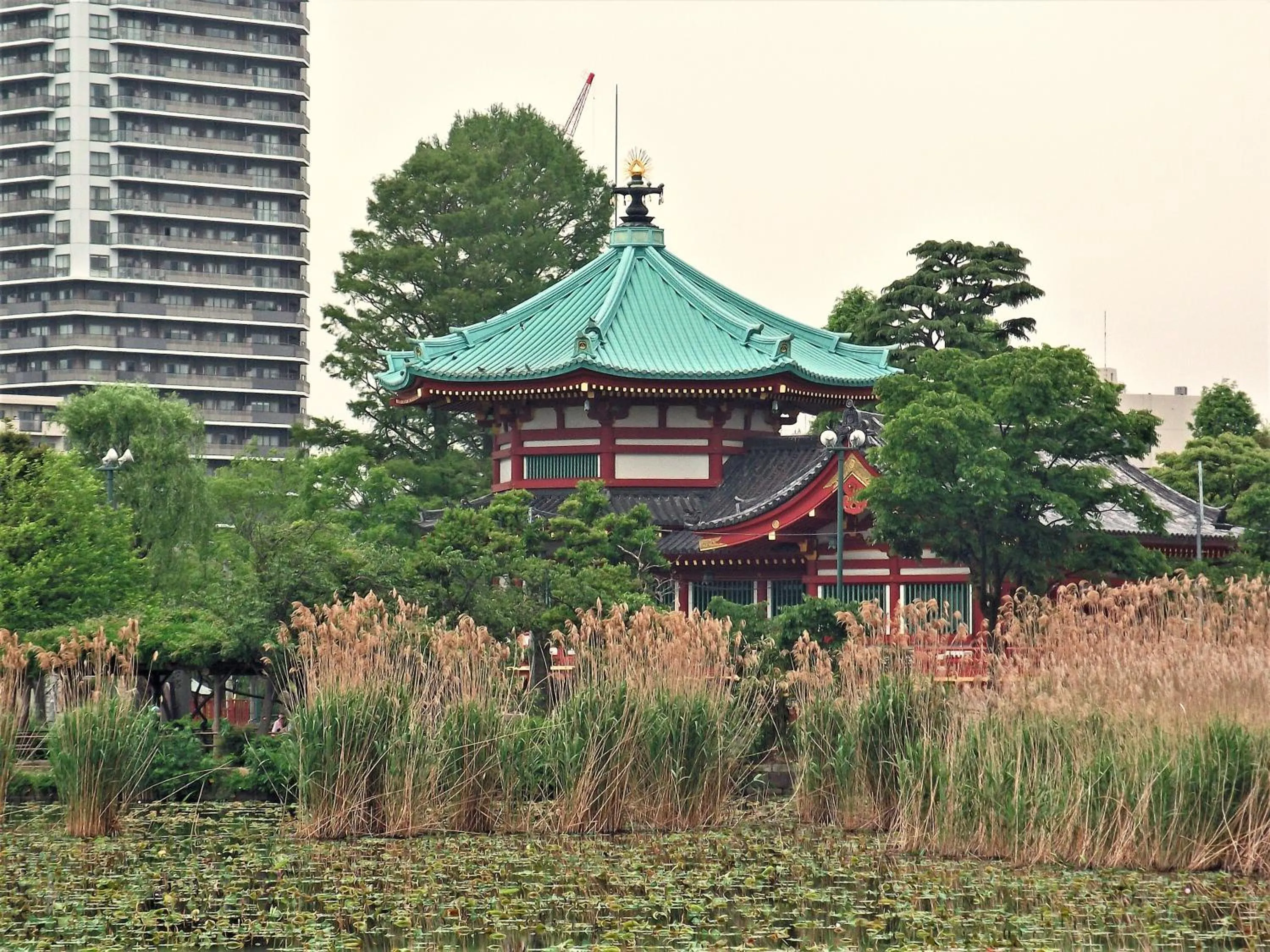 Nearby landmark in Hotel Wing International Select Ueno Okachimachi