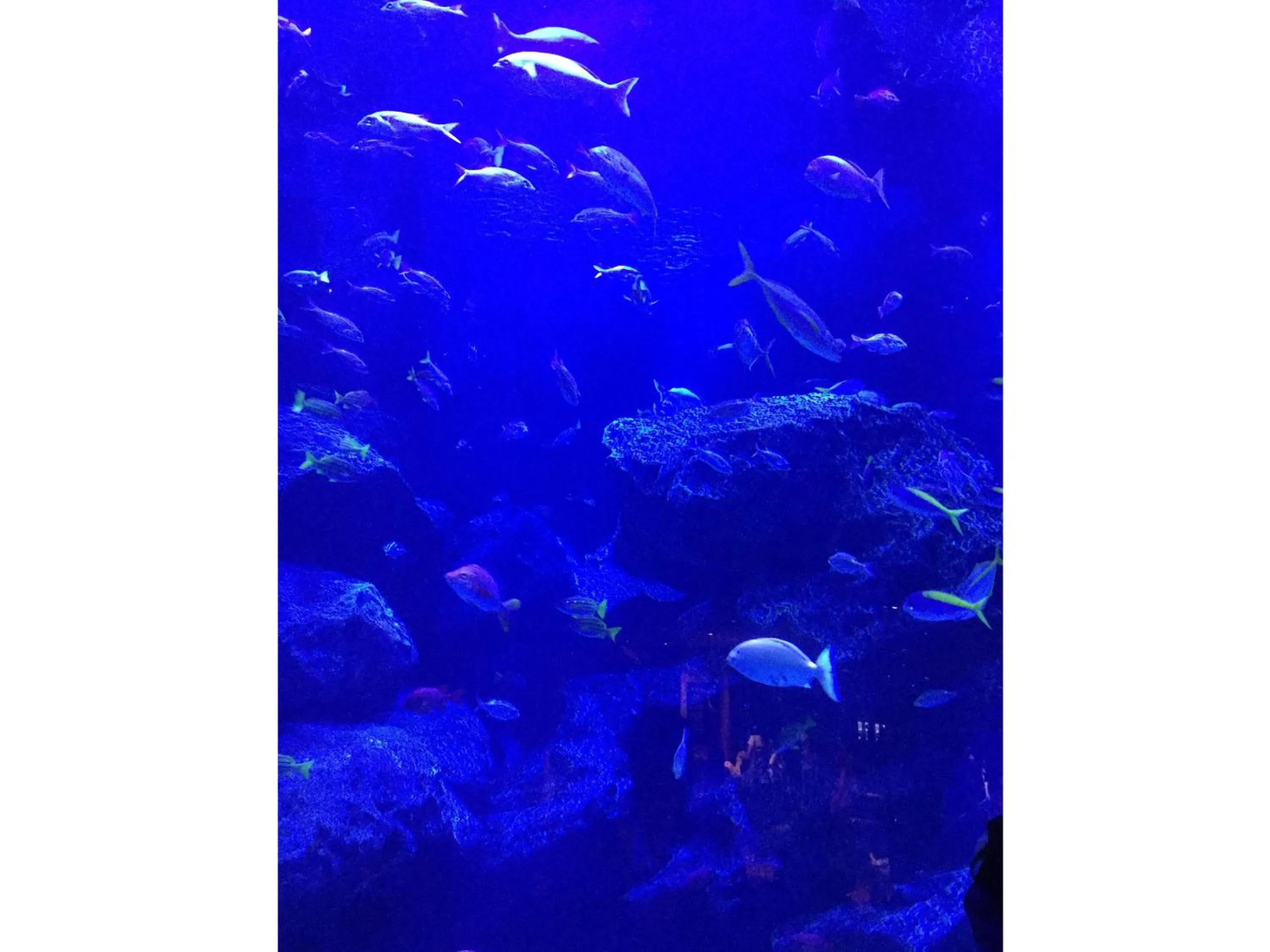 Nearby landmark in Hotel Wing International Select Ueno Okachimachi