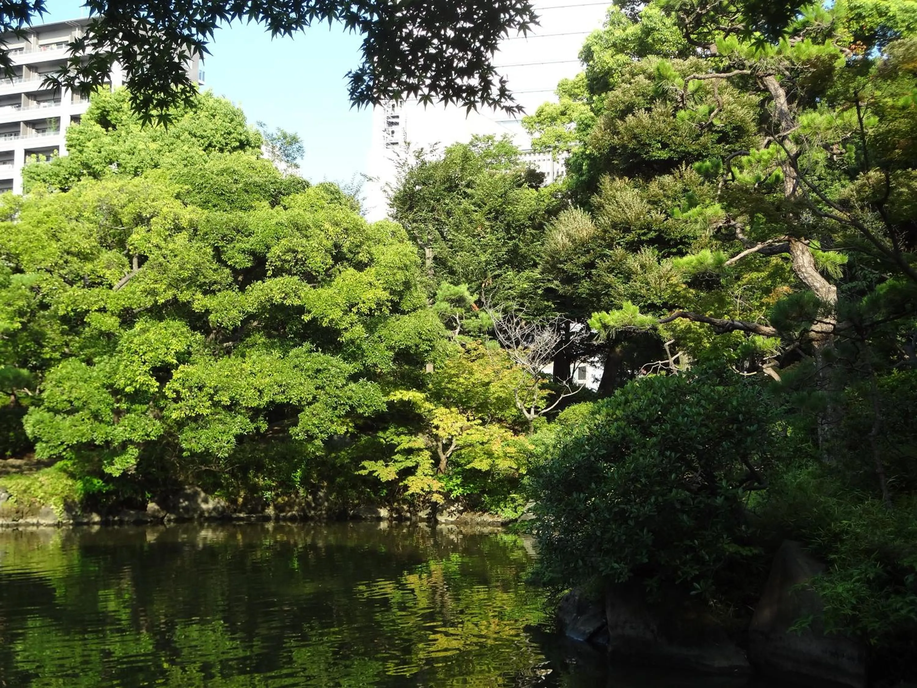 Nearby landmark in Hotel Wing International Select Ueno Okachimachi
