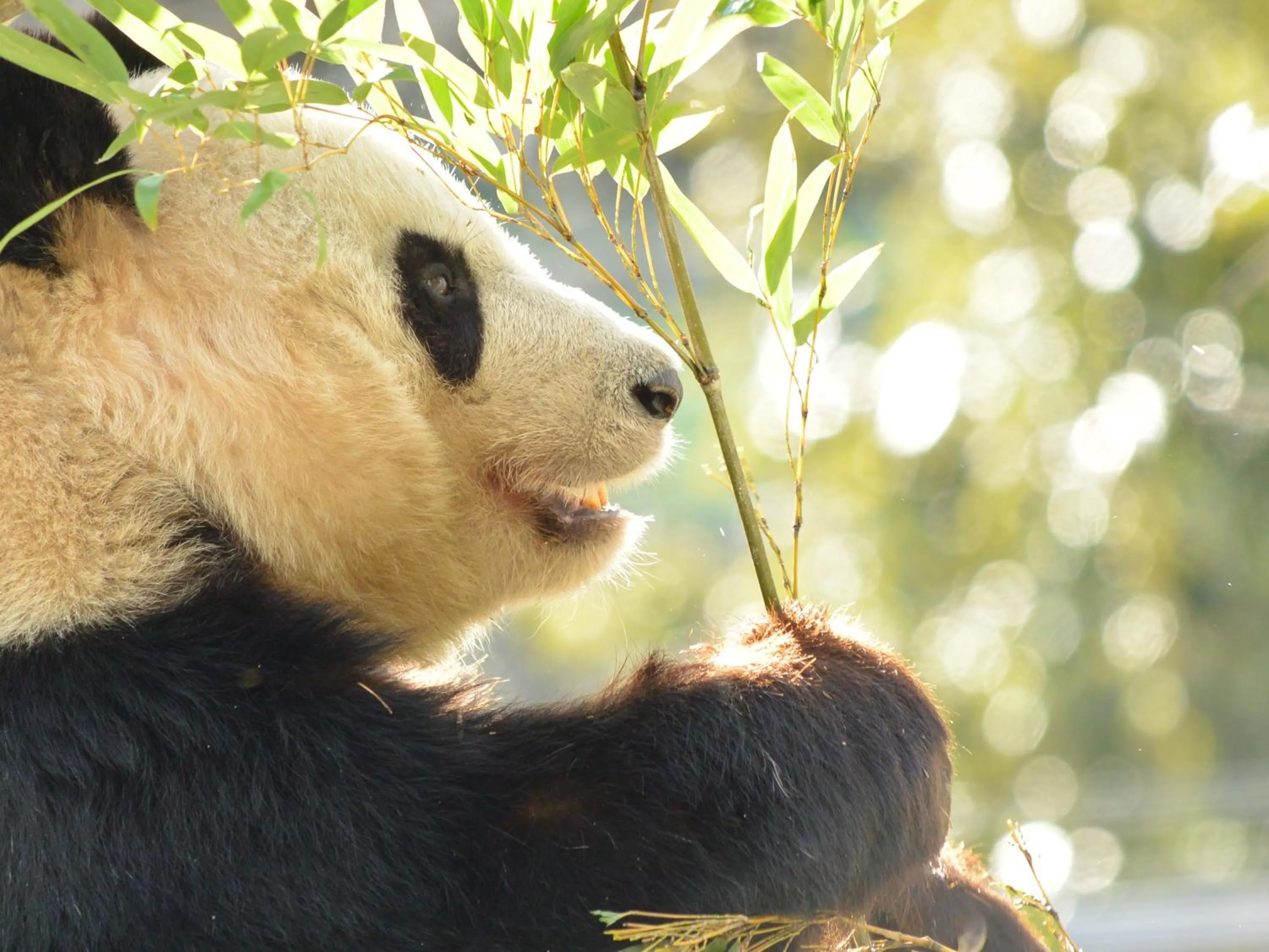 Nearby landmark in Hotel Wing International Select Ueno Okachimachi