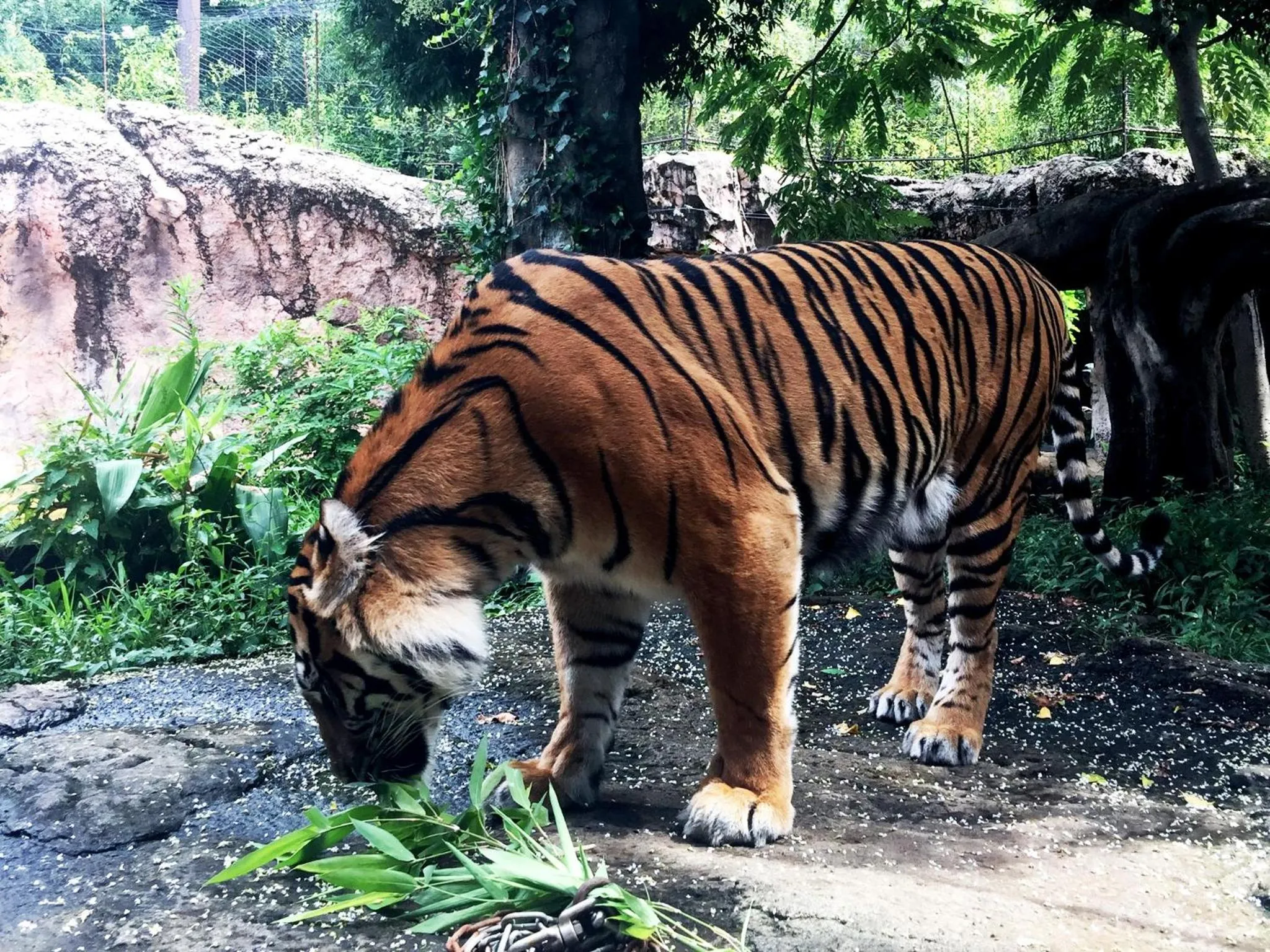 Nearby landmark in Hotel Wing International Select Ueno Okachimachi