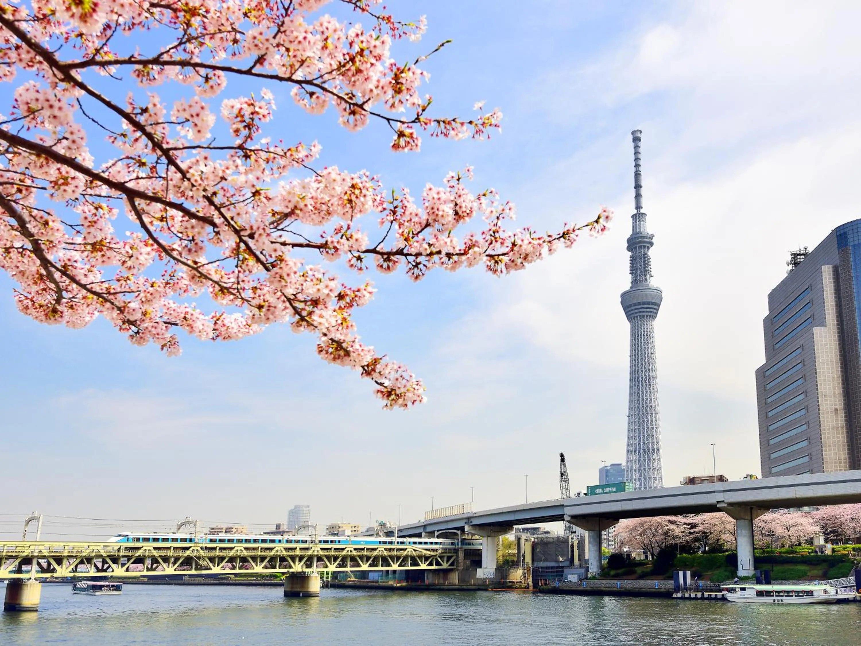 Nearby landmark in Hotel Wing International Select Ueno Okachimachi