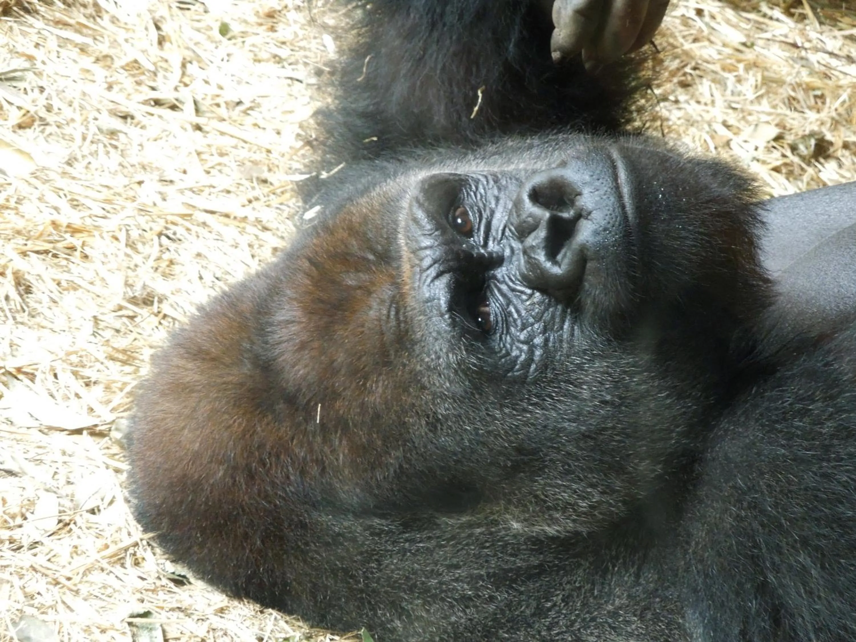 Nearby landmark in Hotel Wing International Select Ueno Okachimachi