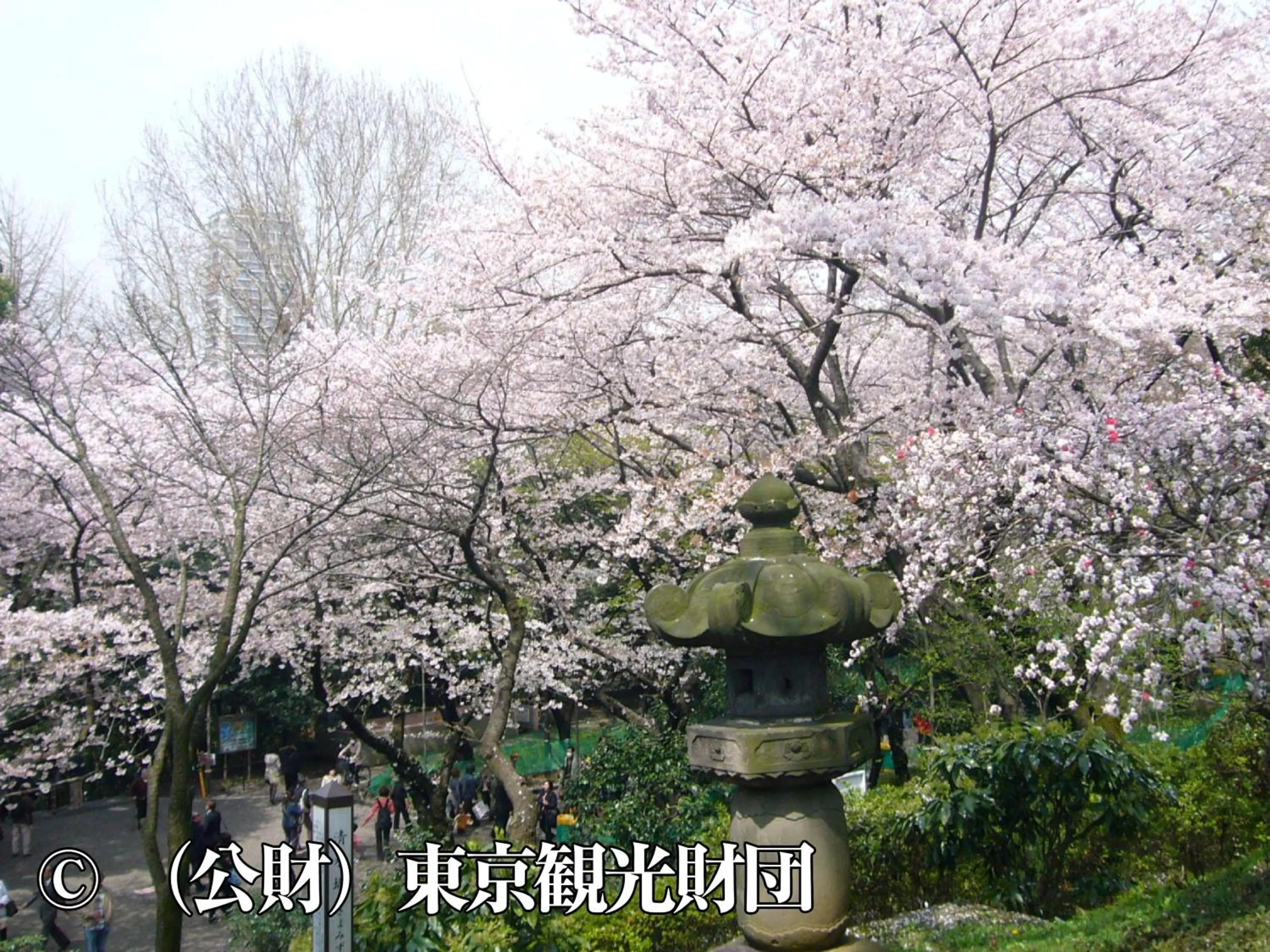 Nearby landmark in Hotel Wing International Select Ueno Okachimachi