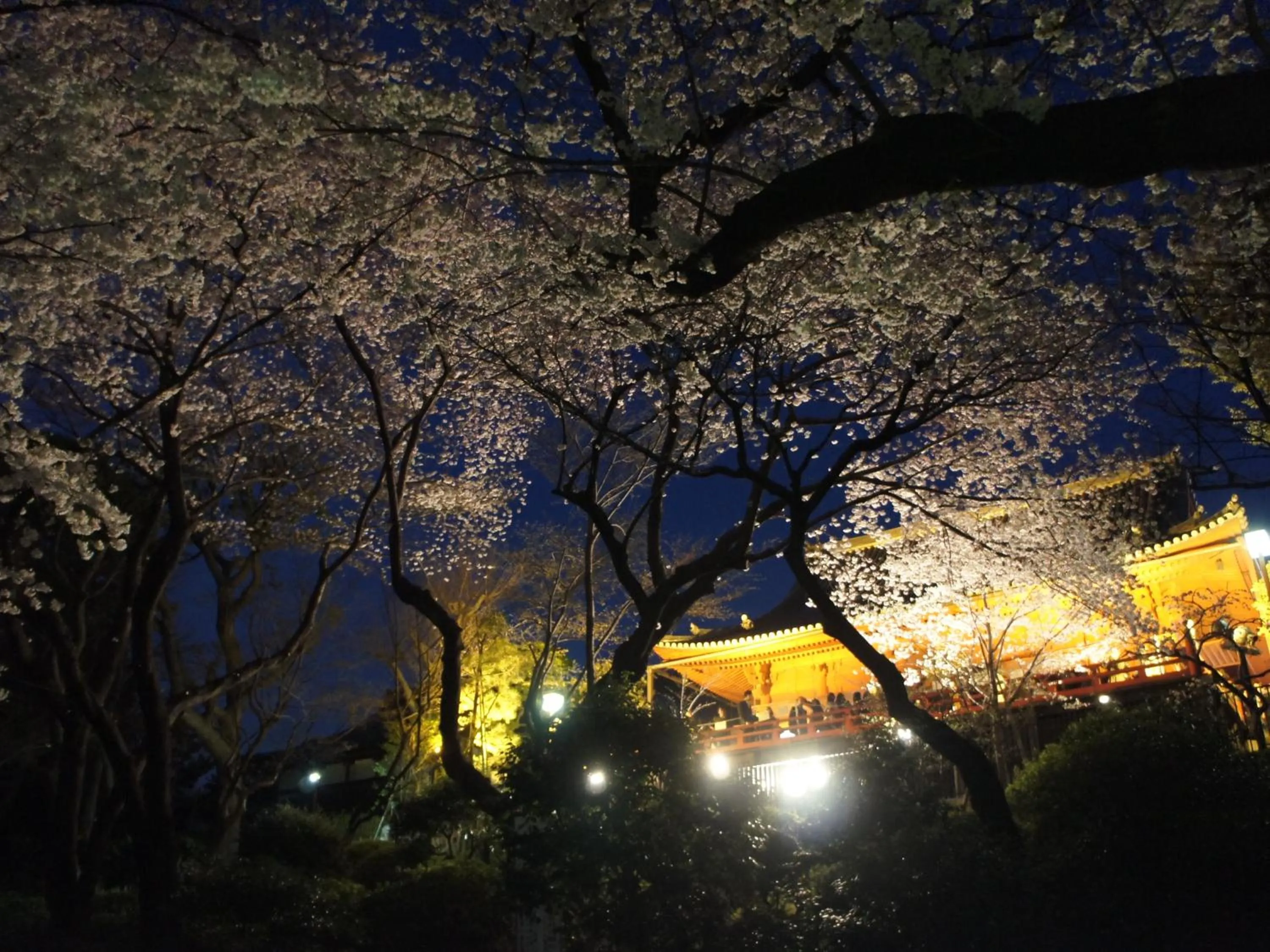 Nearby landmark in Hotel Wing International Select Ueno Okachimachi
