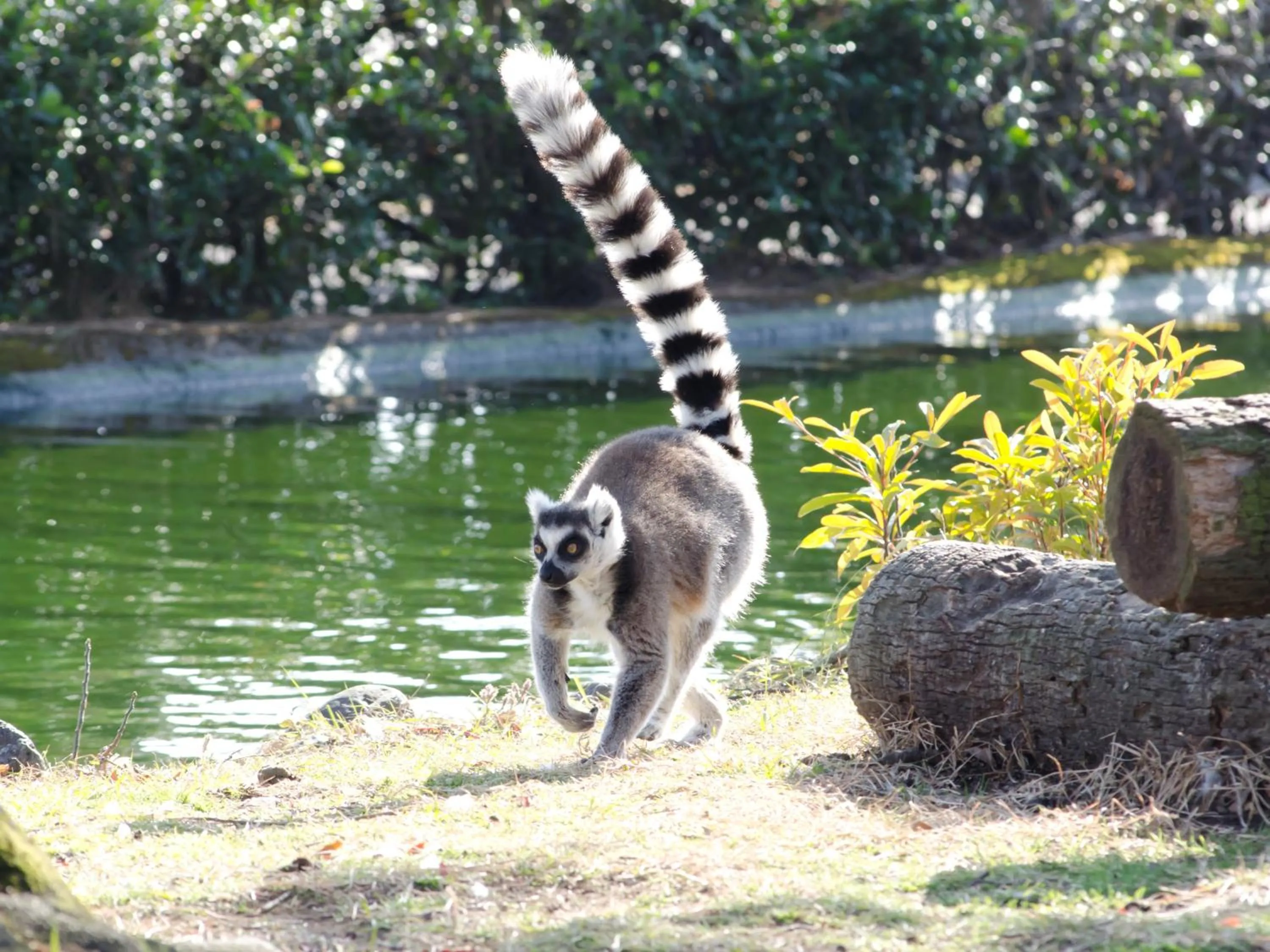 Nearby landmark in Hotel Wing International Select Ueno Okachimachi