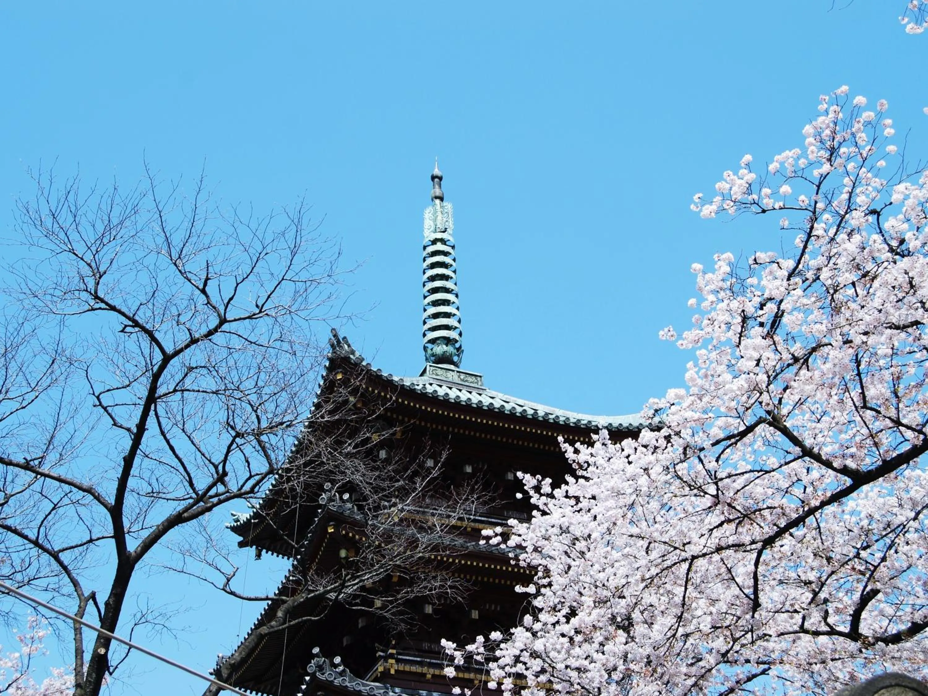 Nearby landmark in Hotel Wing International Select Ueno Okachimachi